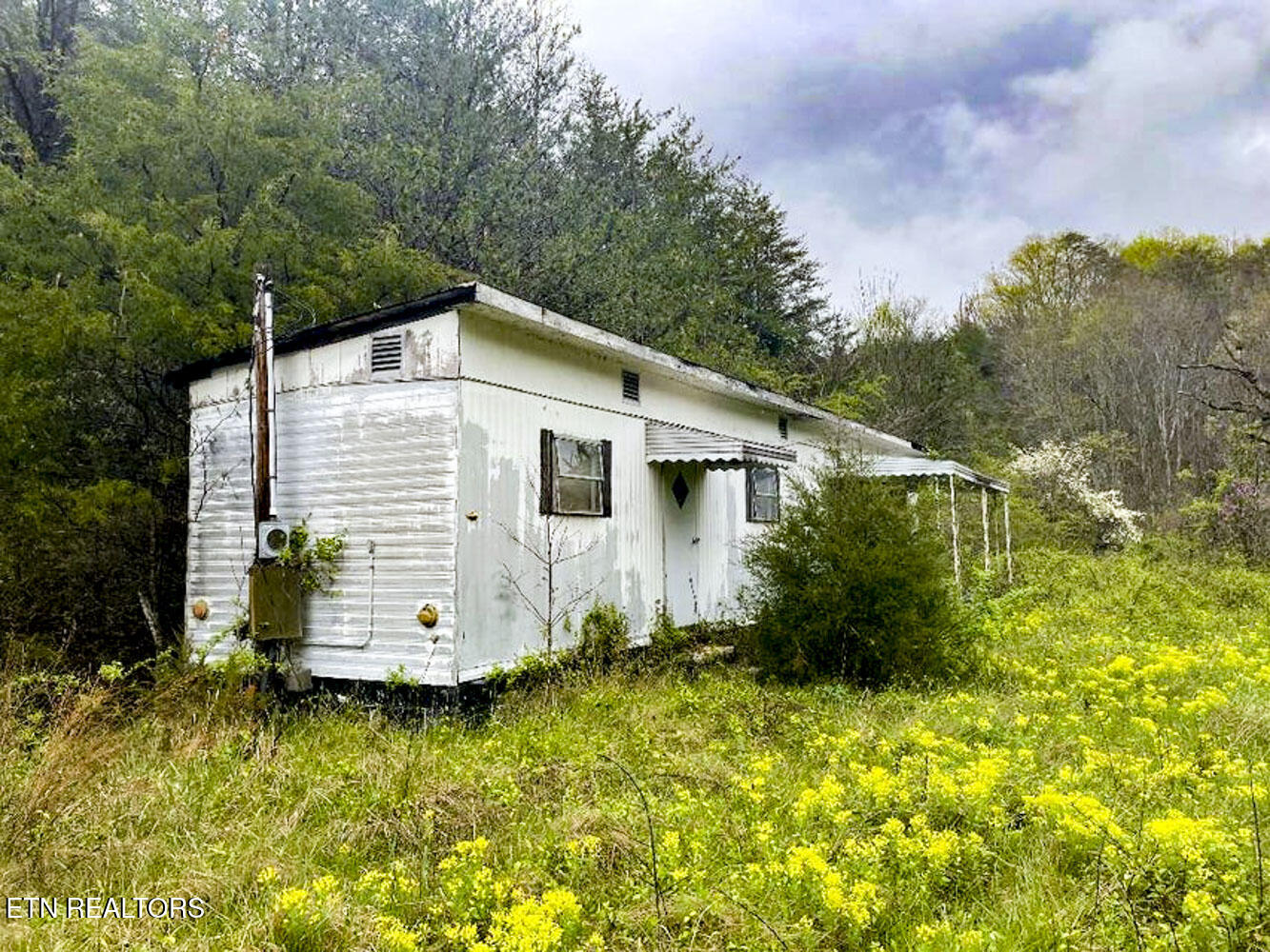2534 Muddy Hollow Dandridge TN 37725