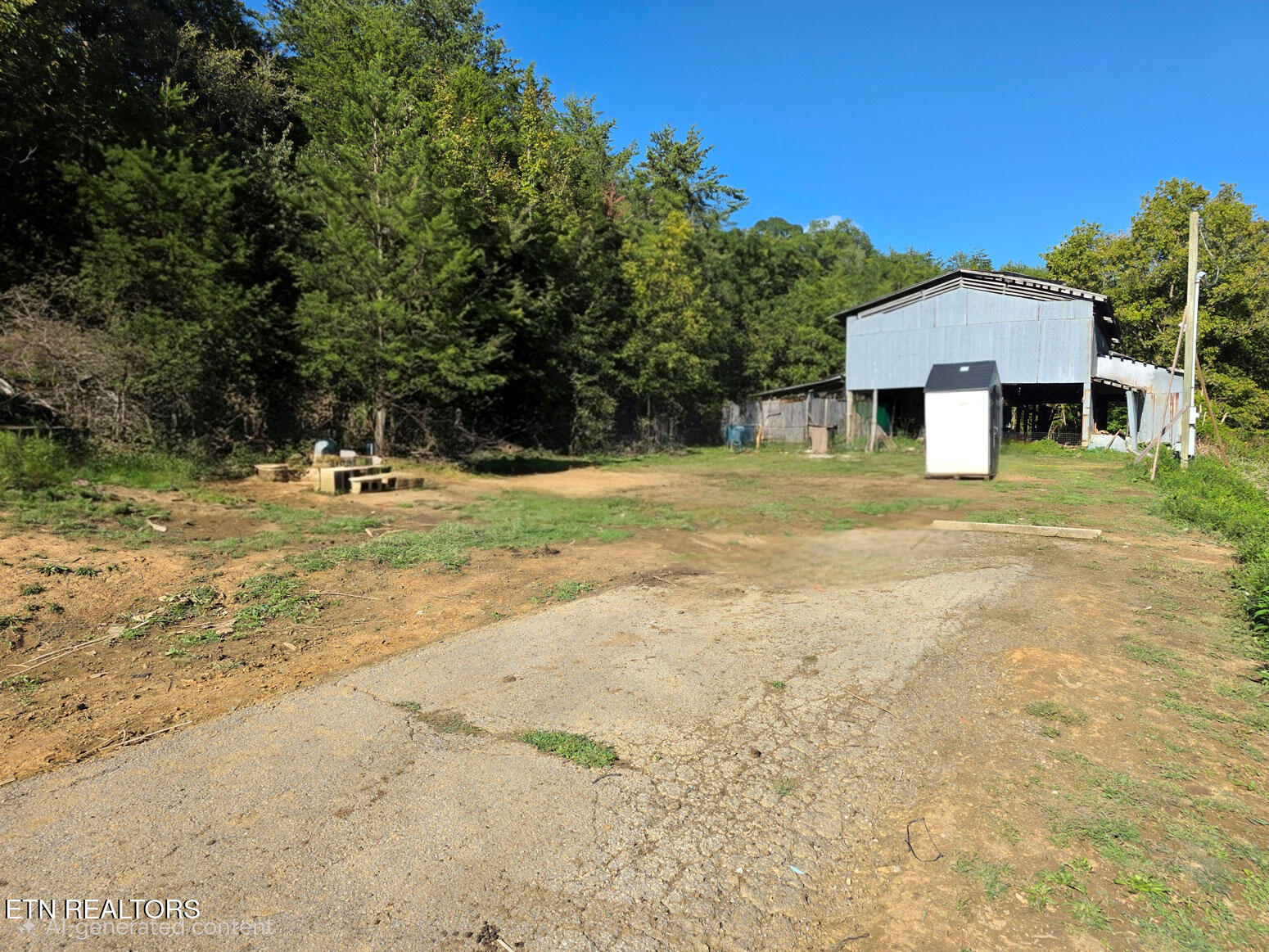 2534 Muddy Hollow Dandridge TN 37725