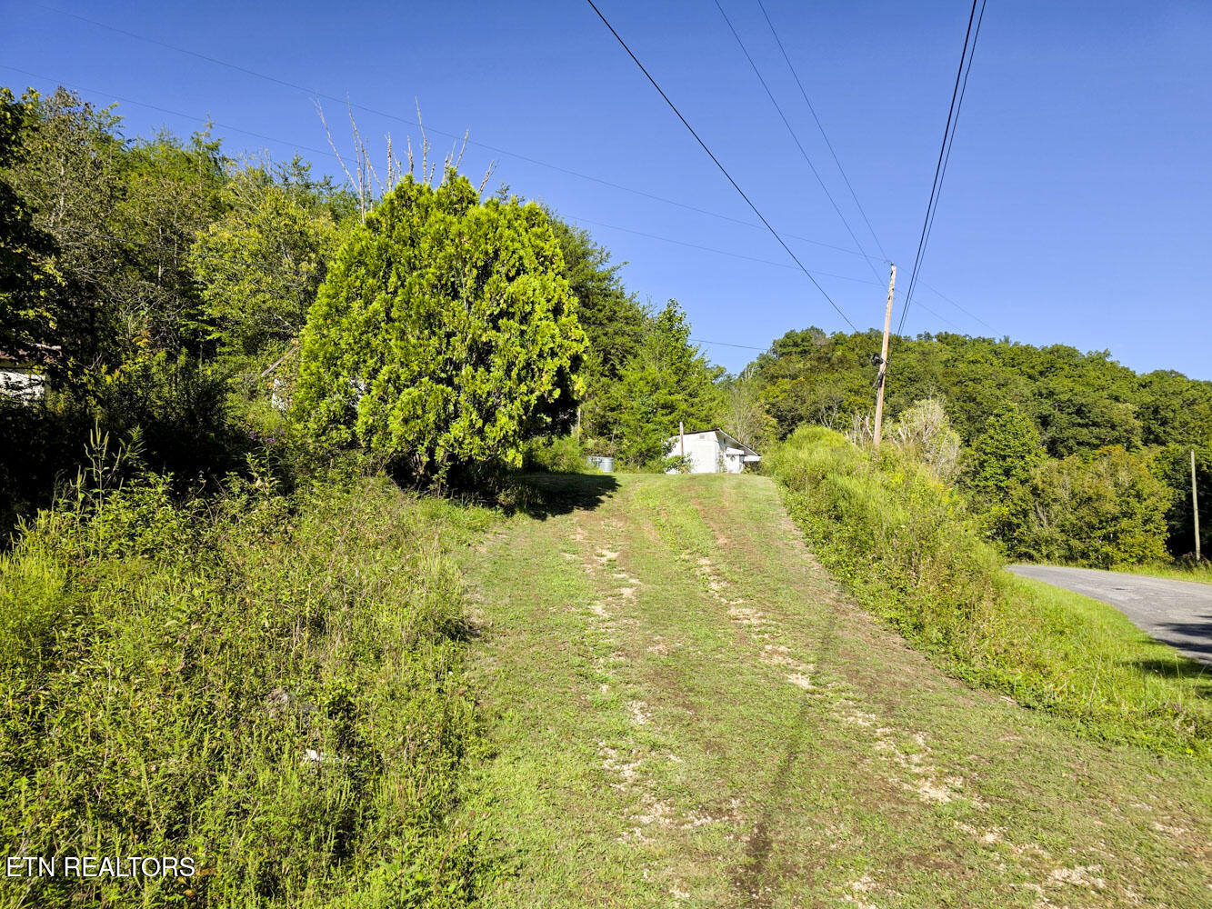 2534 Muddy Hollow Dandridge TN 37725