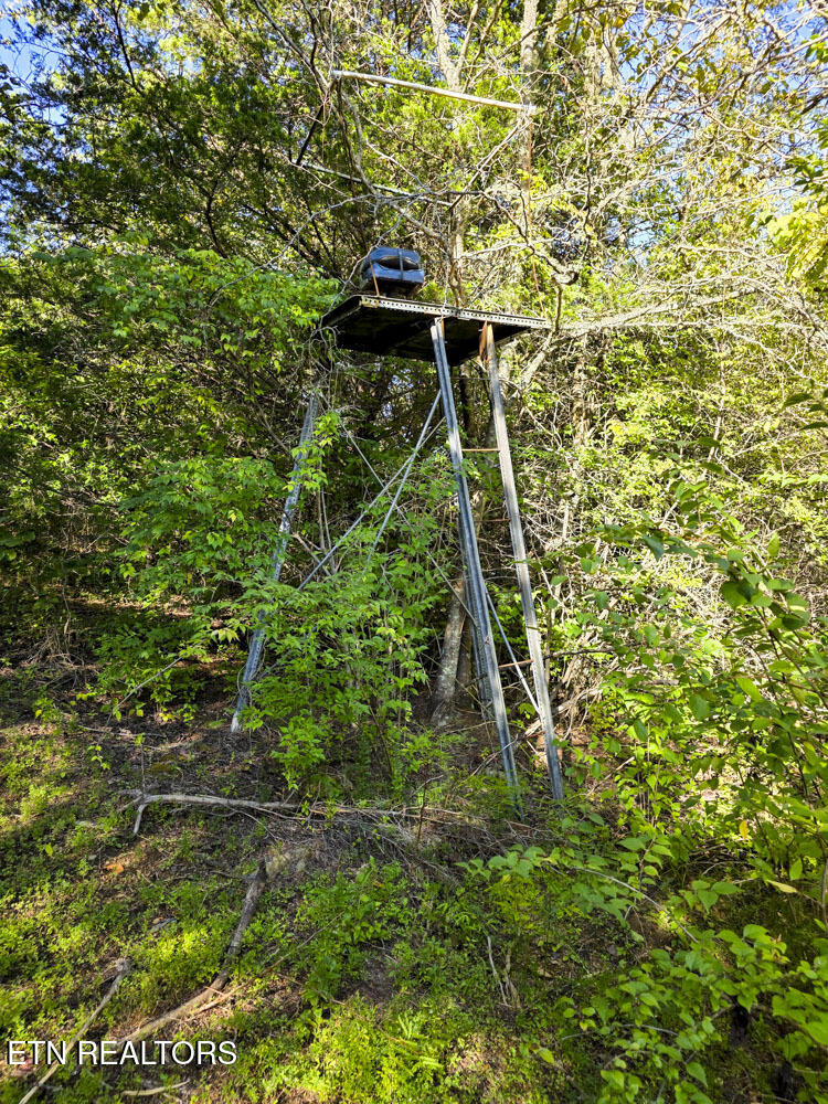 2534 Muddy Hollow Dandridge TN 37725