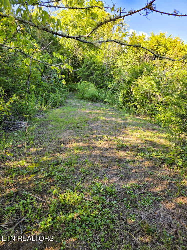 2534 Muddy Hollow Dandridge TN 37725