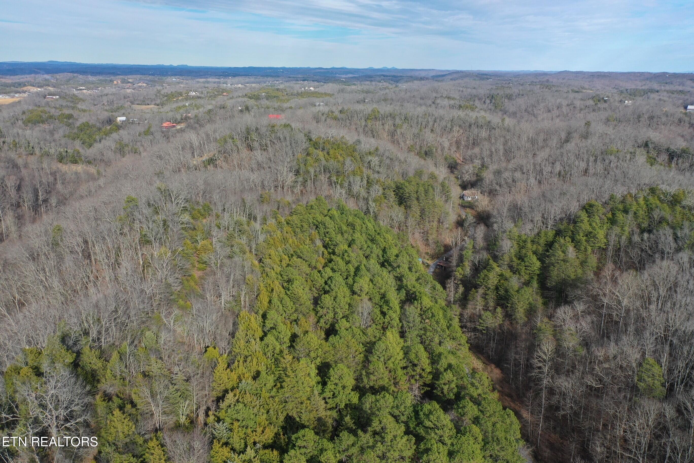 2534 Muddy Hollow Dandridge TN 37725