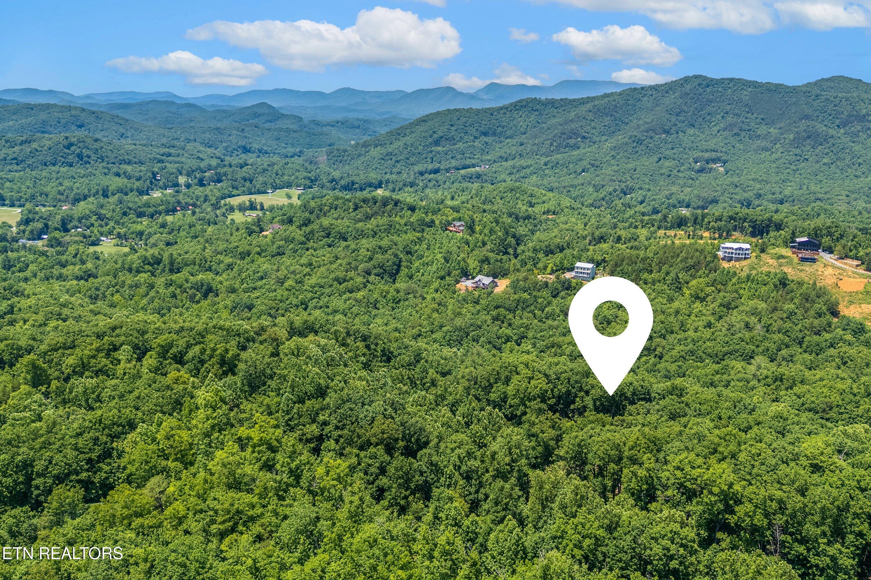 229 Sonshine Ridge Road Cosby TN 37722