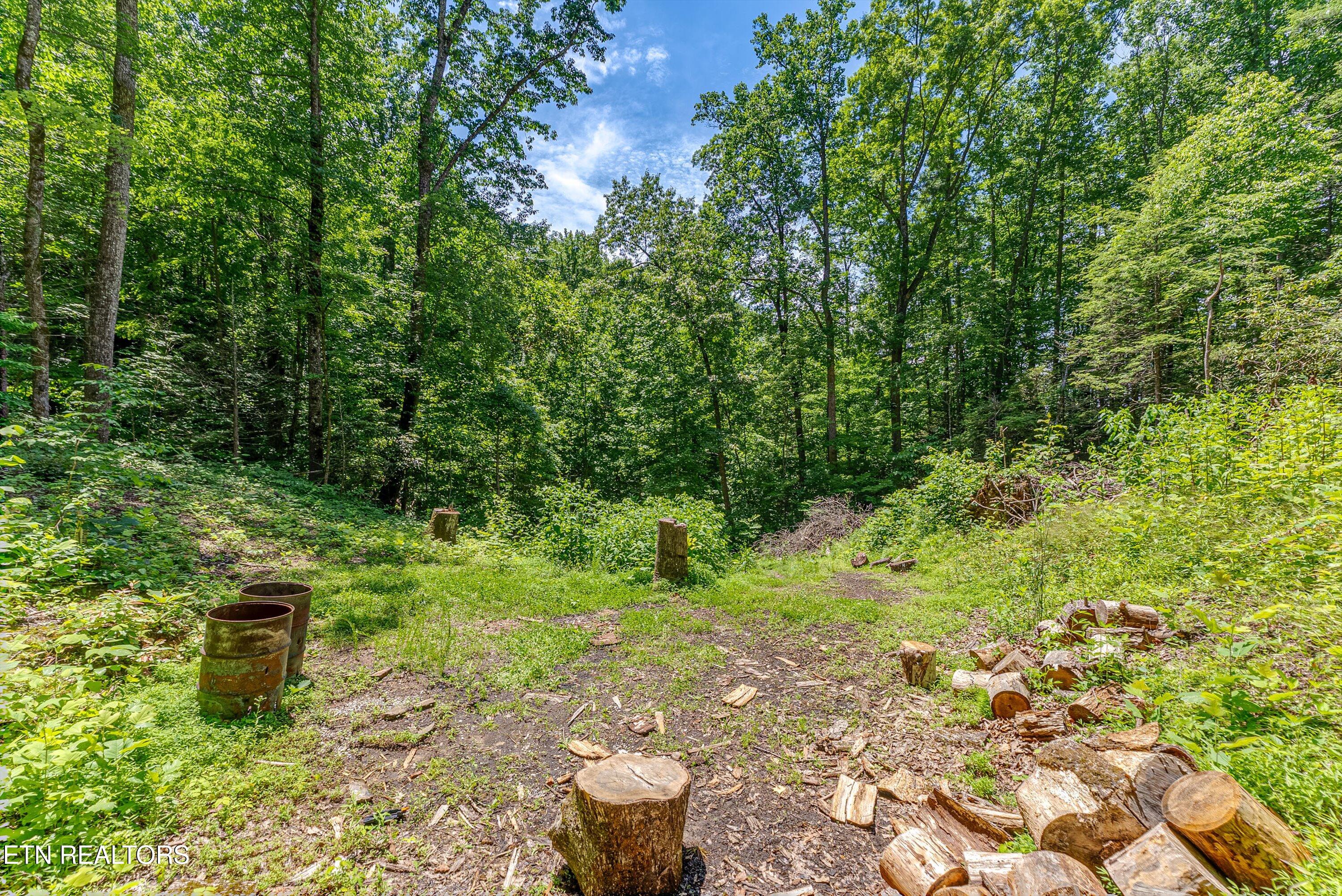 229 Sonshine Ridge Road Cosby TN 37722