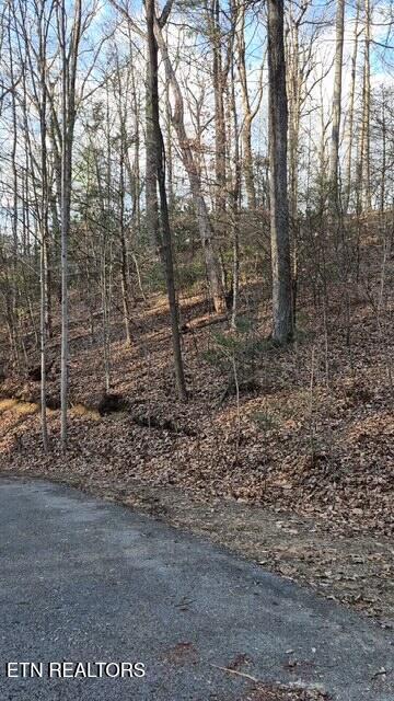 229 Sonshine Ridge Road Cosby TN 37722