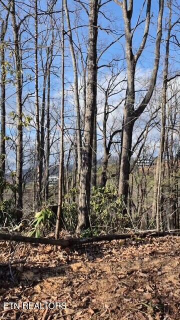 229 Sonshine Ridge Road Cosby TN 37722