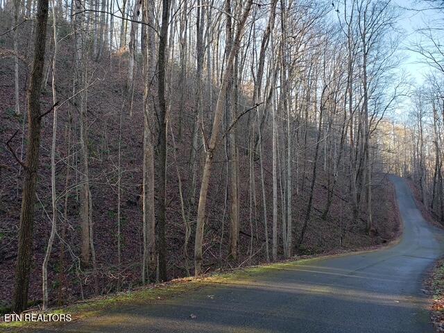 229 Sonshine Ridge Road Cosby TN 37722
