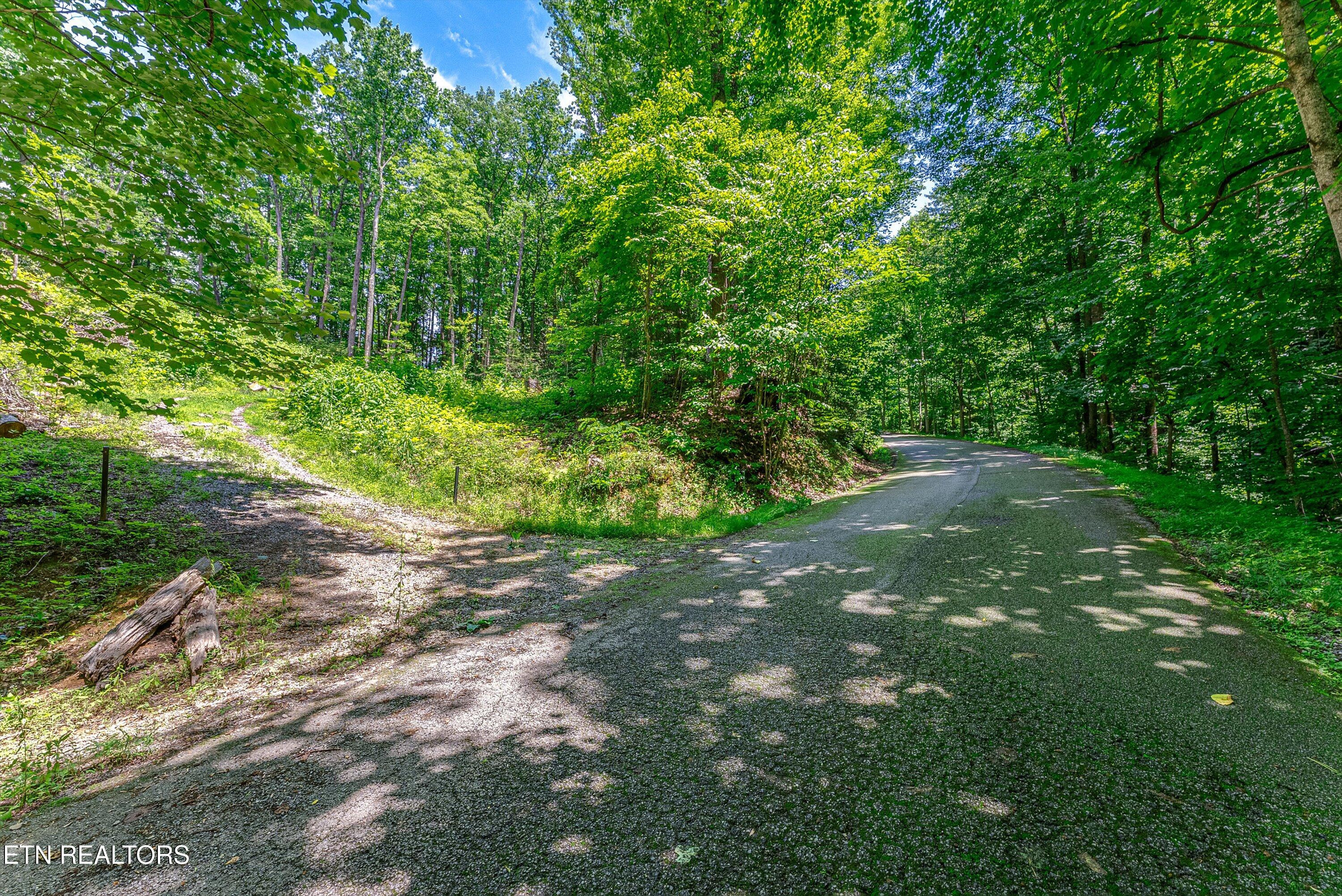 229 Sonshine Ridge Road Cosby TN 37722