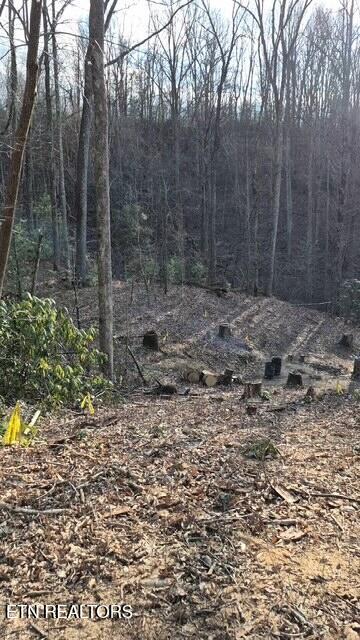229 Sonshine Ridge Road Cosby TN 37722