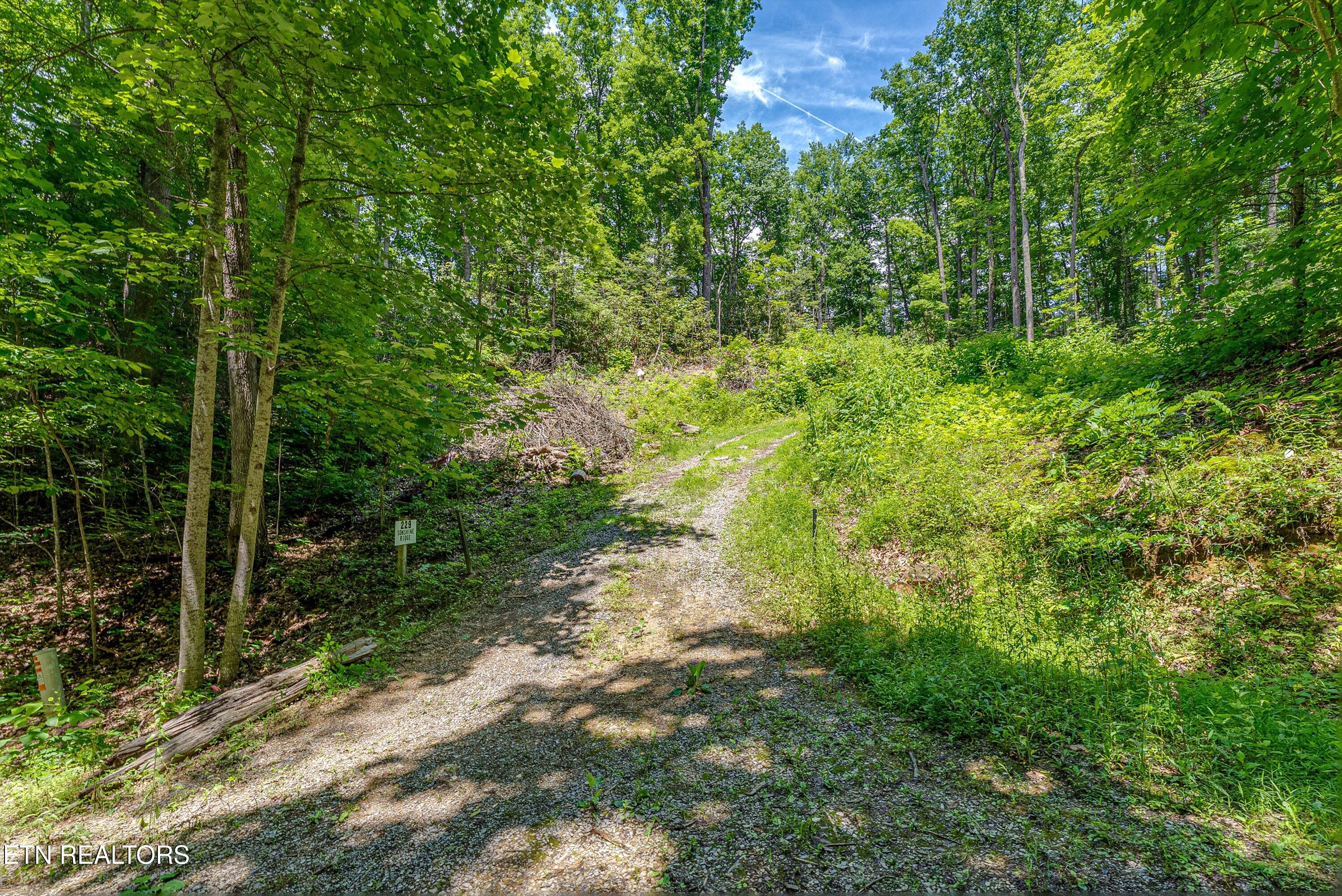 229 Sonshine Ridge Road Cosby TN 37722