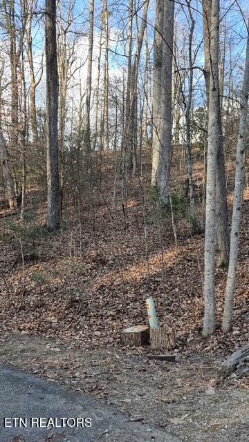 229 Sonshine Ridge Road Cosby TN 37722