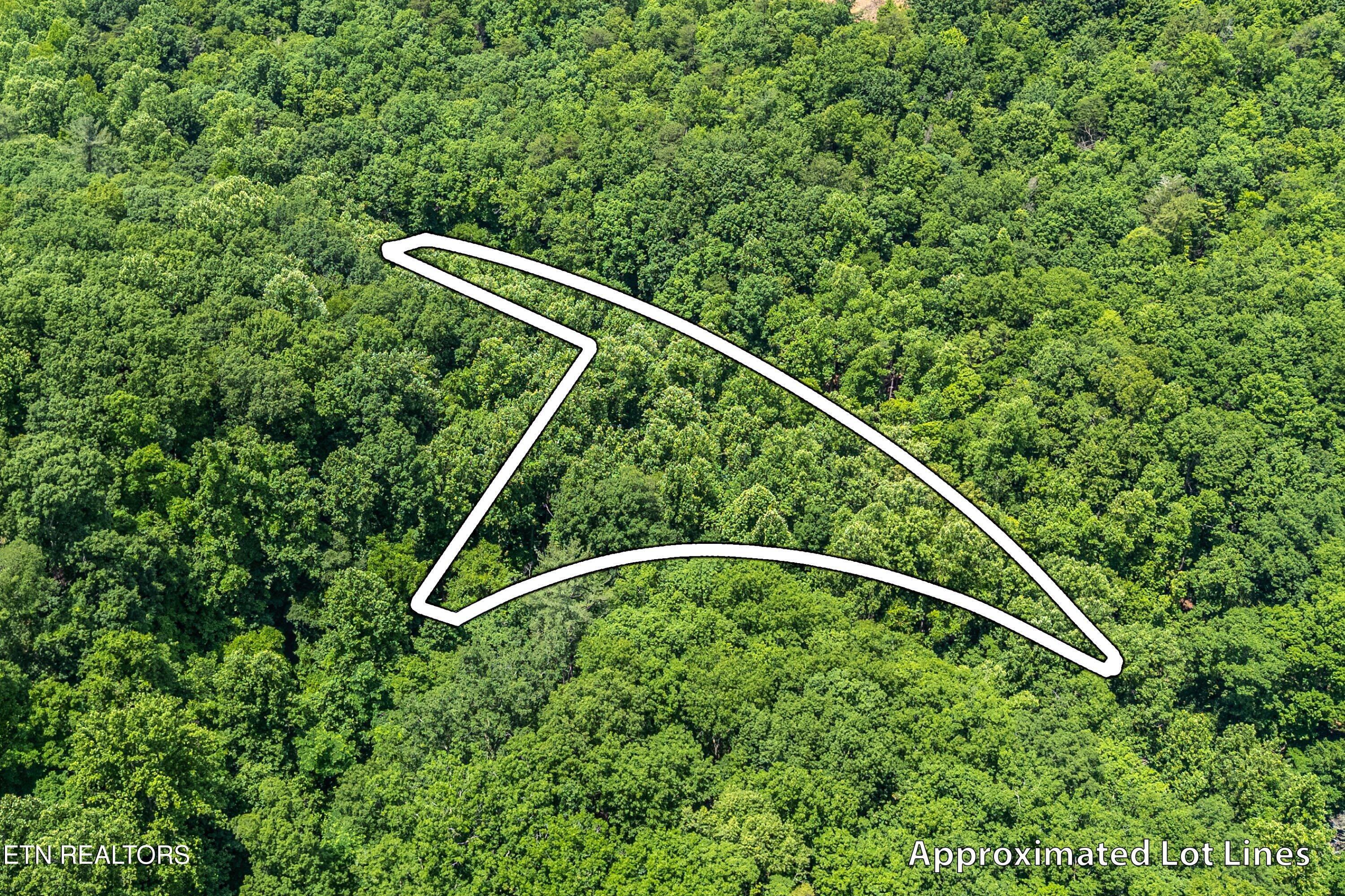 229 Sonshine Ridge Road Cosby TN 37722