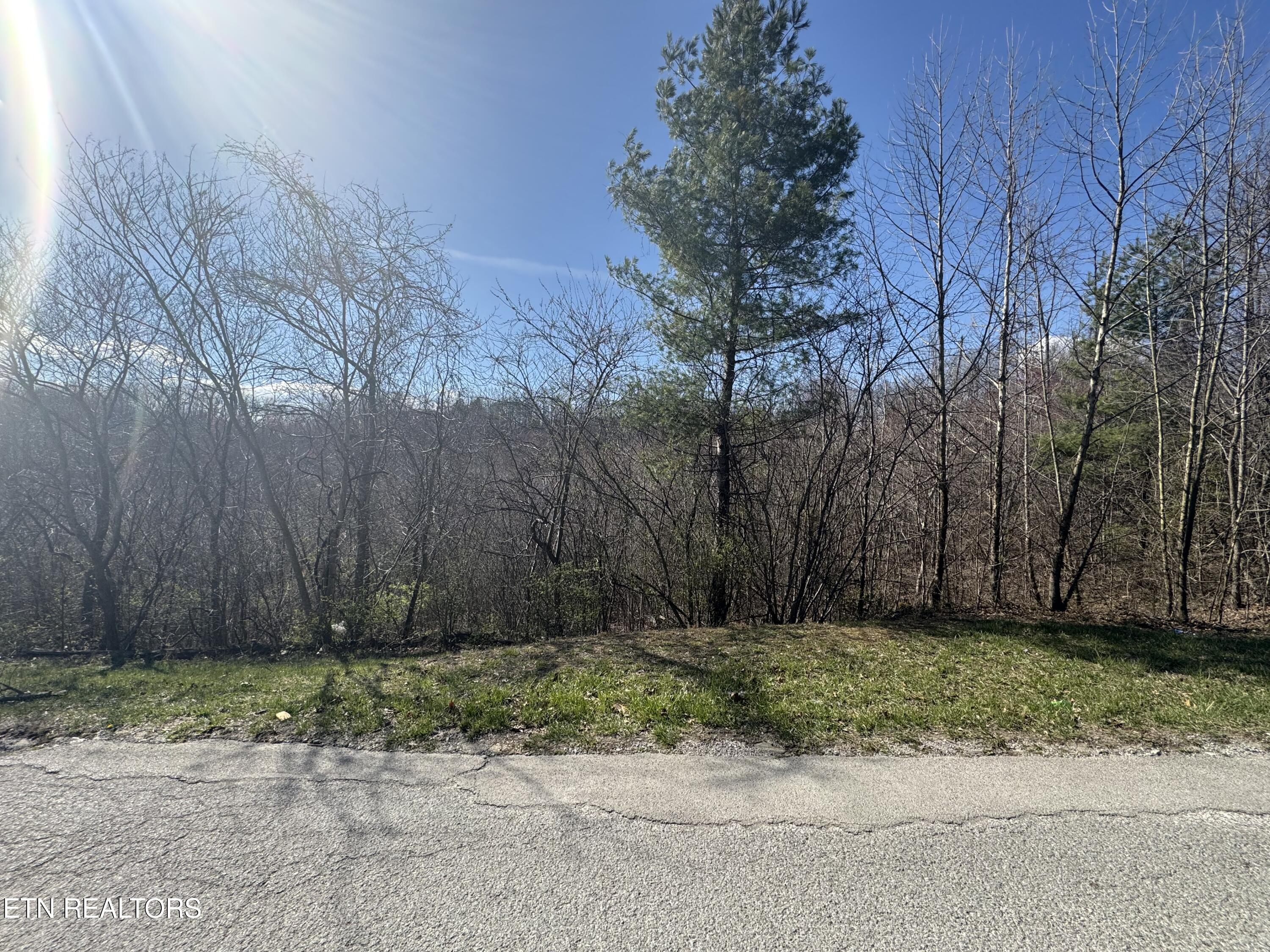 Grape Rough Road Oneida TN 37841