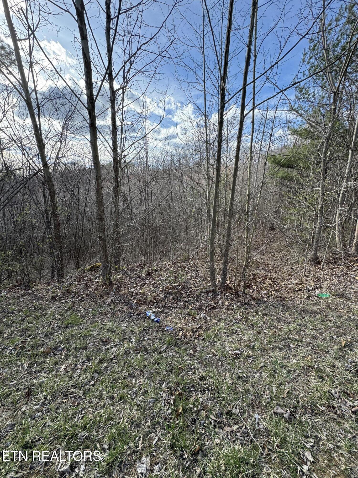 Grape Rough Road Oneida TN 37841