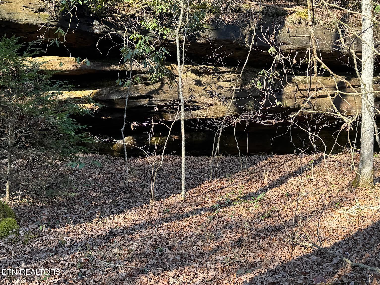 Mae Drive Jamestown TN 38556