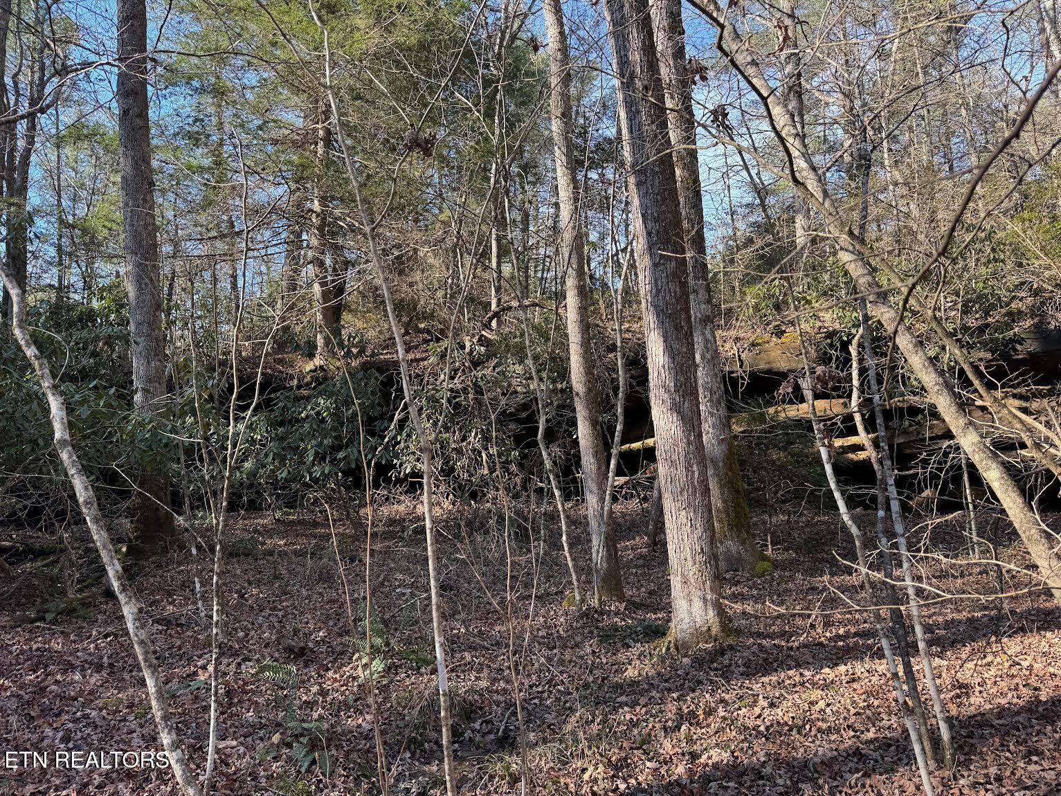 Mae Drive Jamestown TN 38556