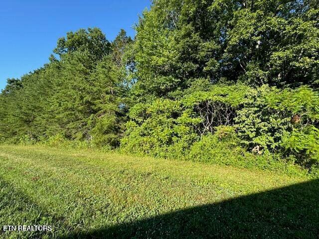 Mae Drive Jamestown TN 38556