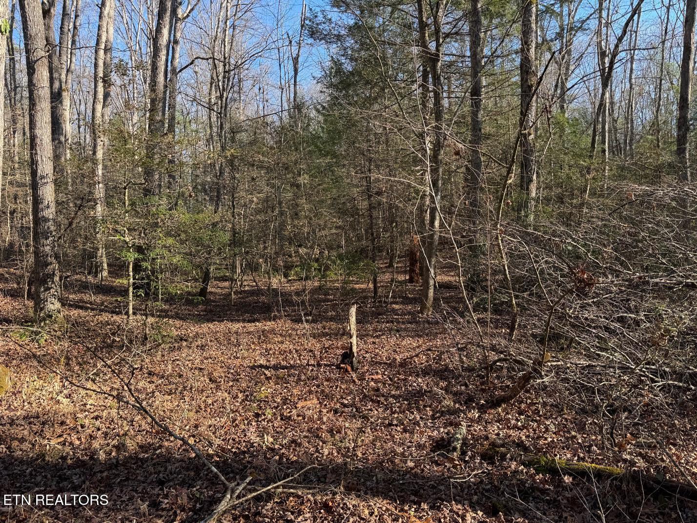 Mae Drive Jamestown TN 38556