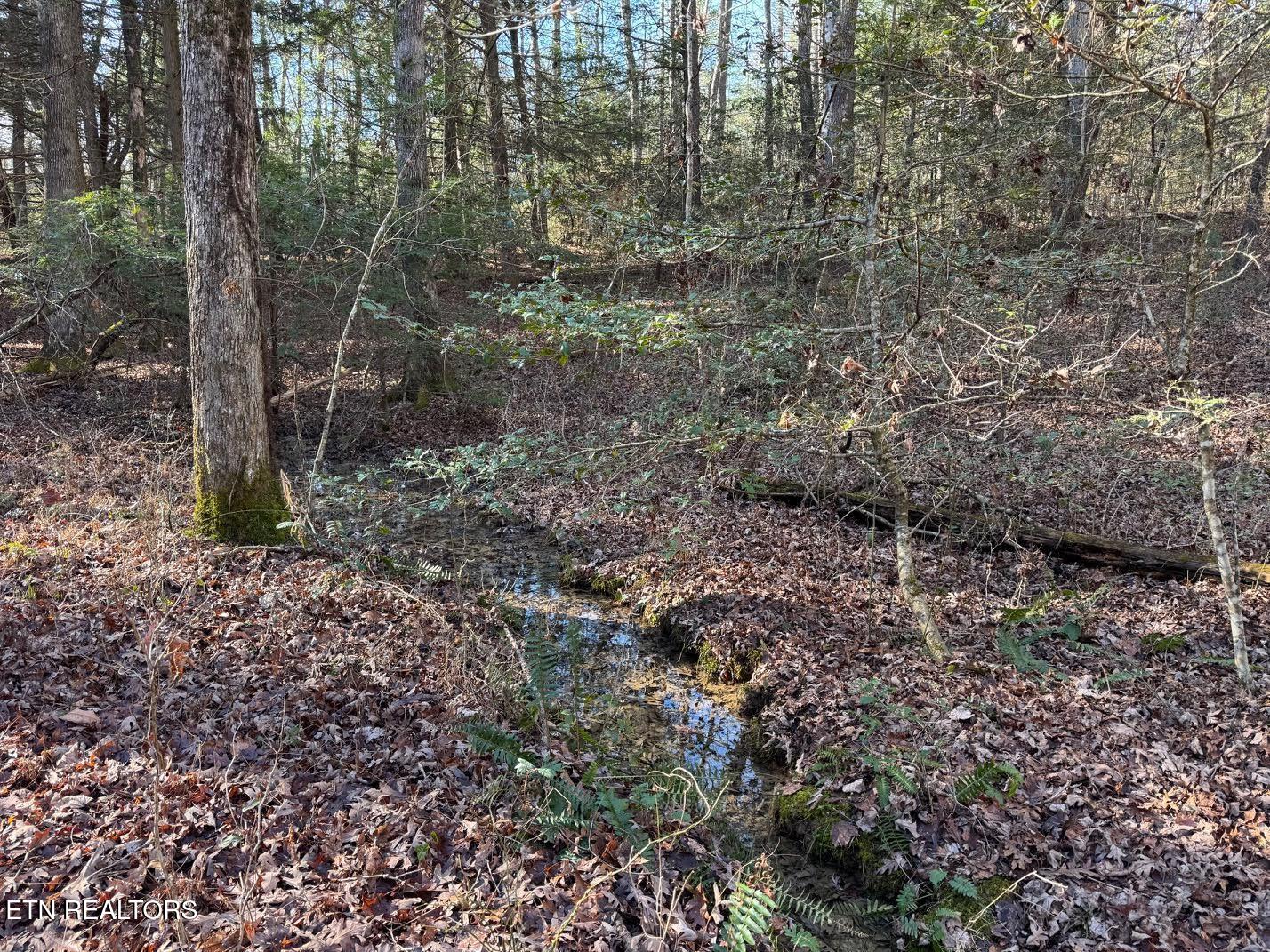 Mae Drive Jamestown TN 38556