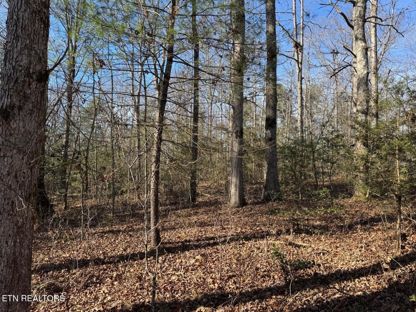 Mae Drive Jamestown TN 38556