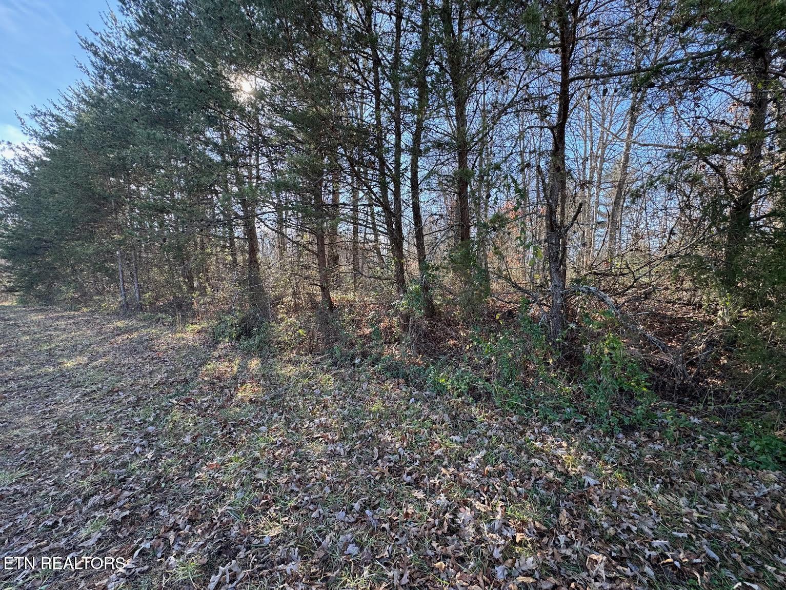 Mae Drive Jamestown TN 38556