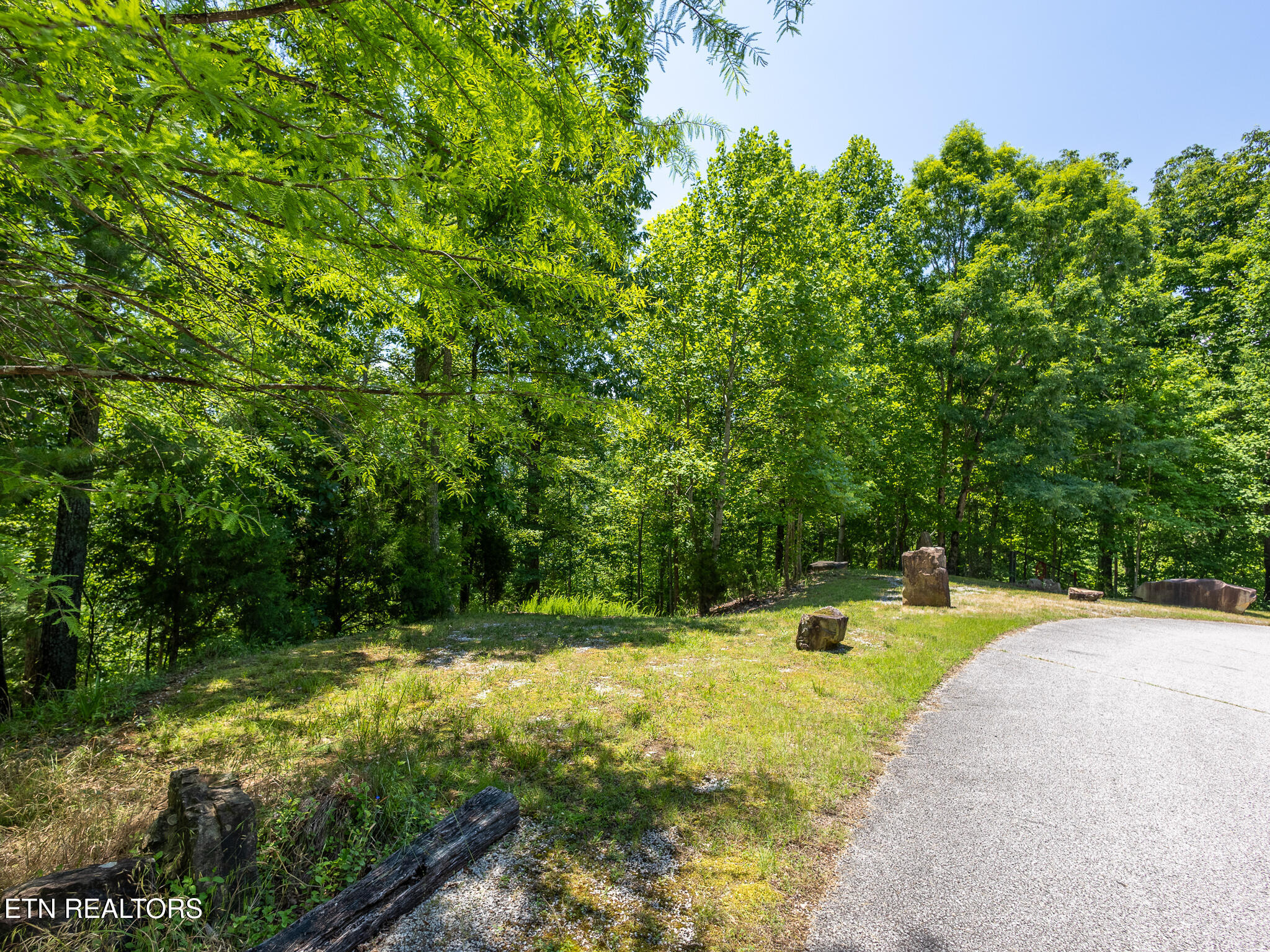 122 Thief Neck Drive Rockwood TN 37854