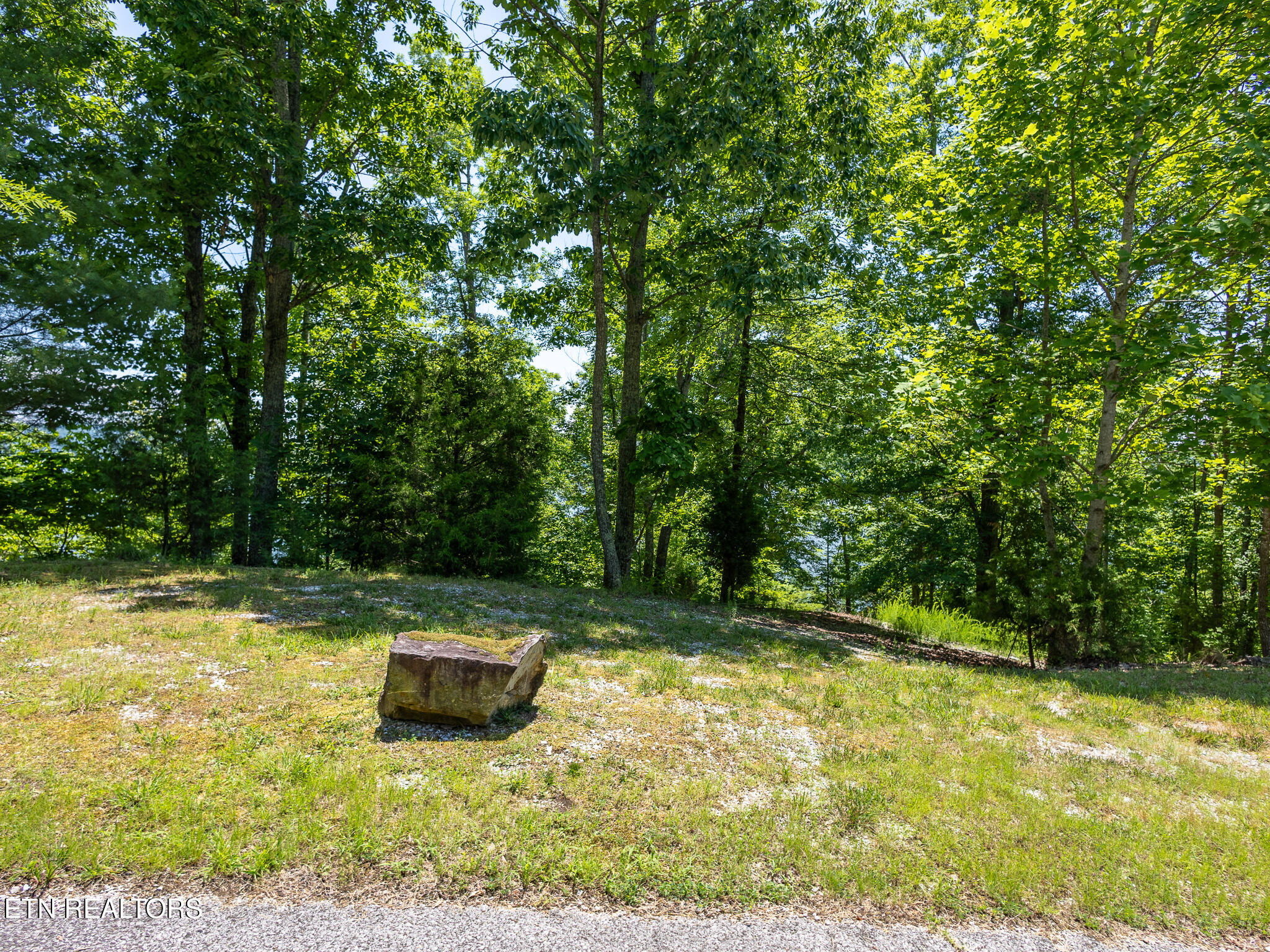 122 Thief Neck Drive Rockwood TN 37854