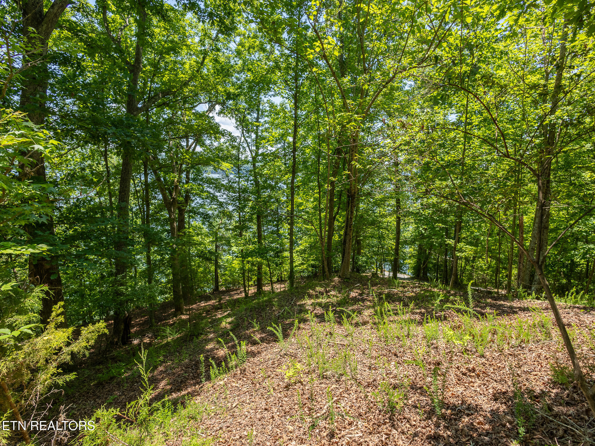 122 Thief Neck Drive Rockwood TN 37854