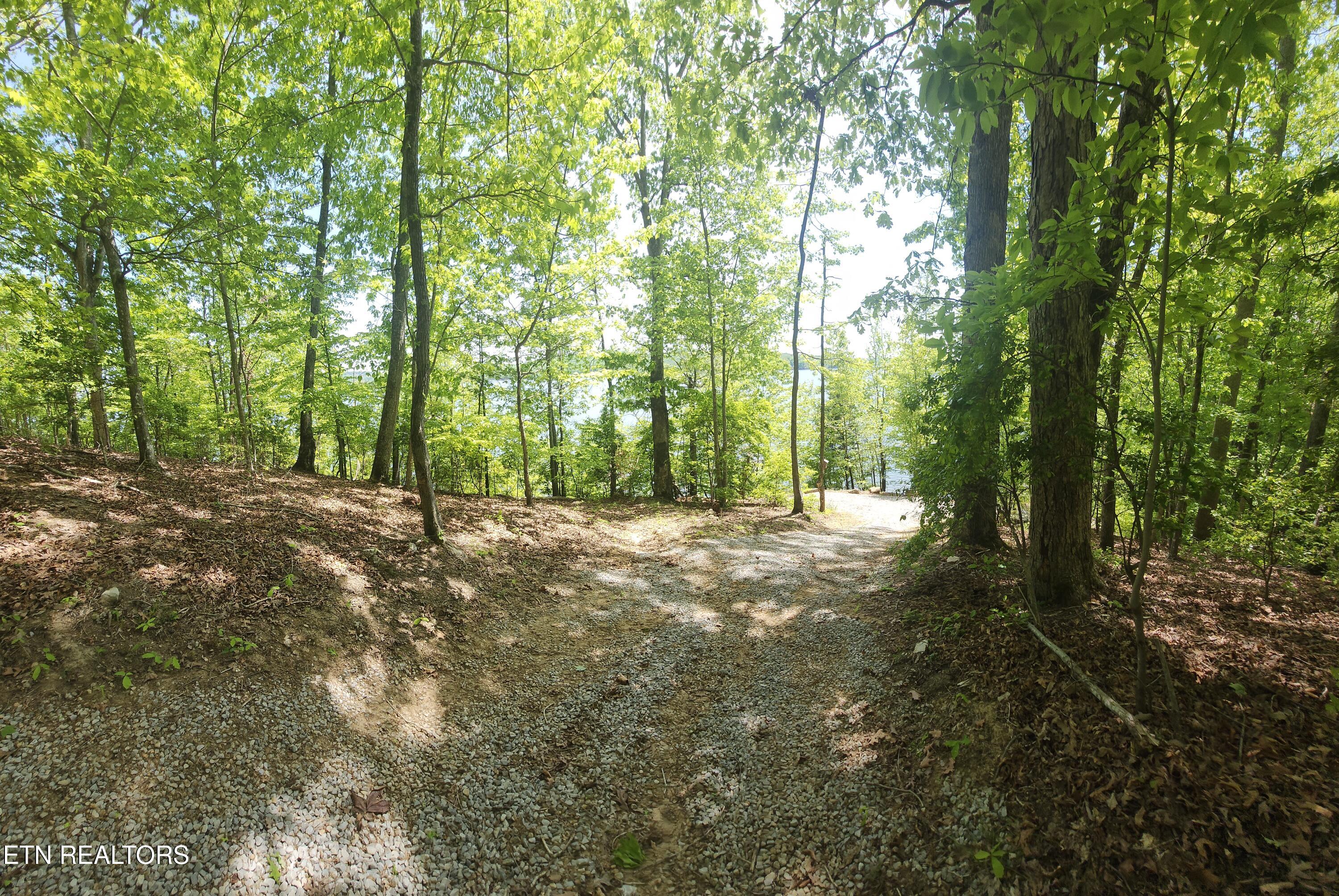 122 Thief Neck Drive Rockwood TN 37854