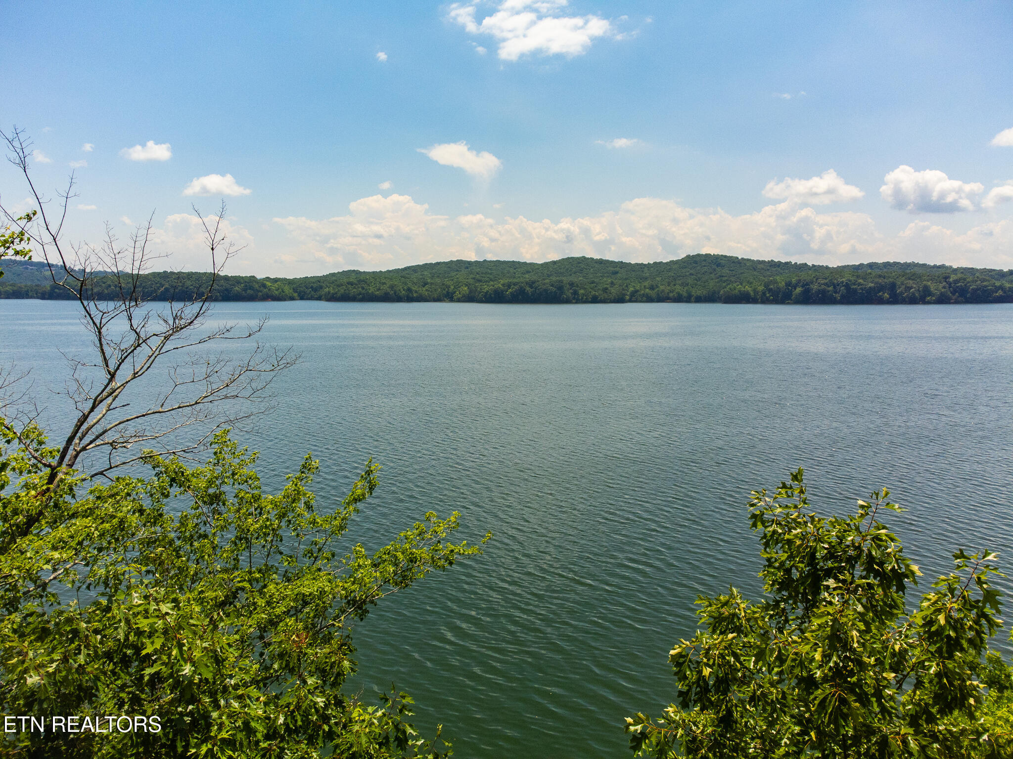 122 Thief Neck Drive Rockwood TN 37854