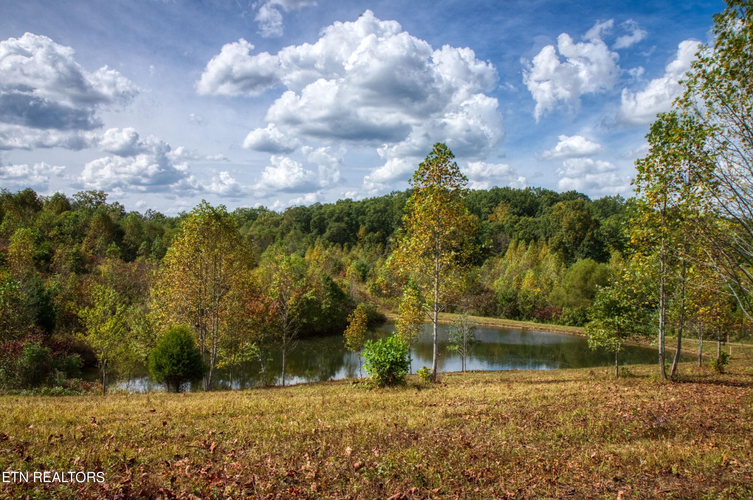 Lot 23 Old Mount Helen Road Allardt TN 38504