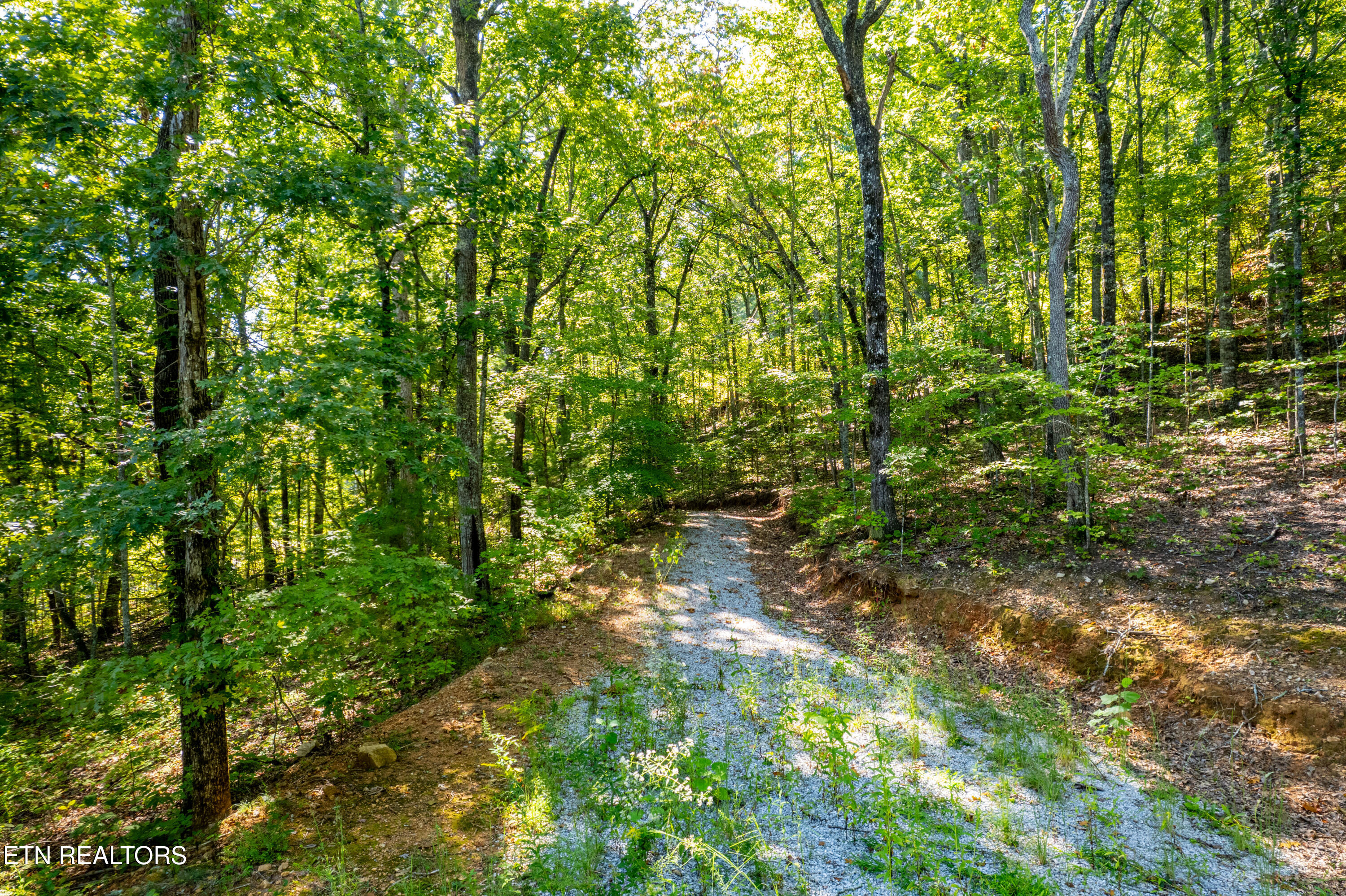 105 Warriors Passage Drive Tellico Plains TN 37385