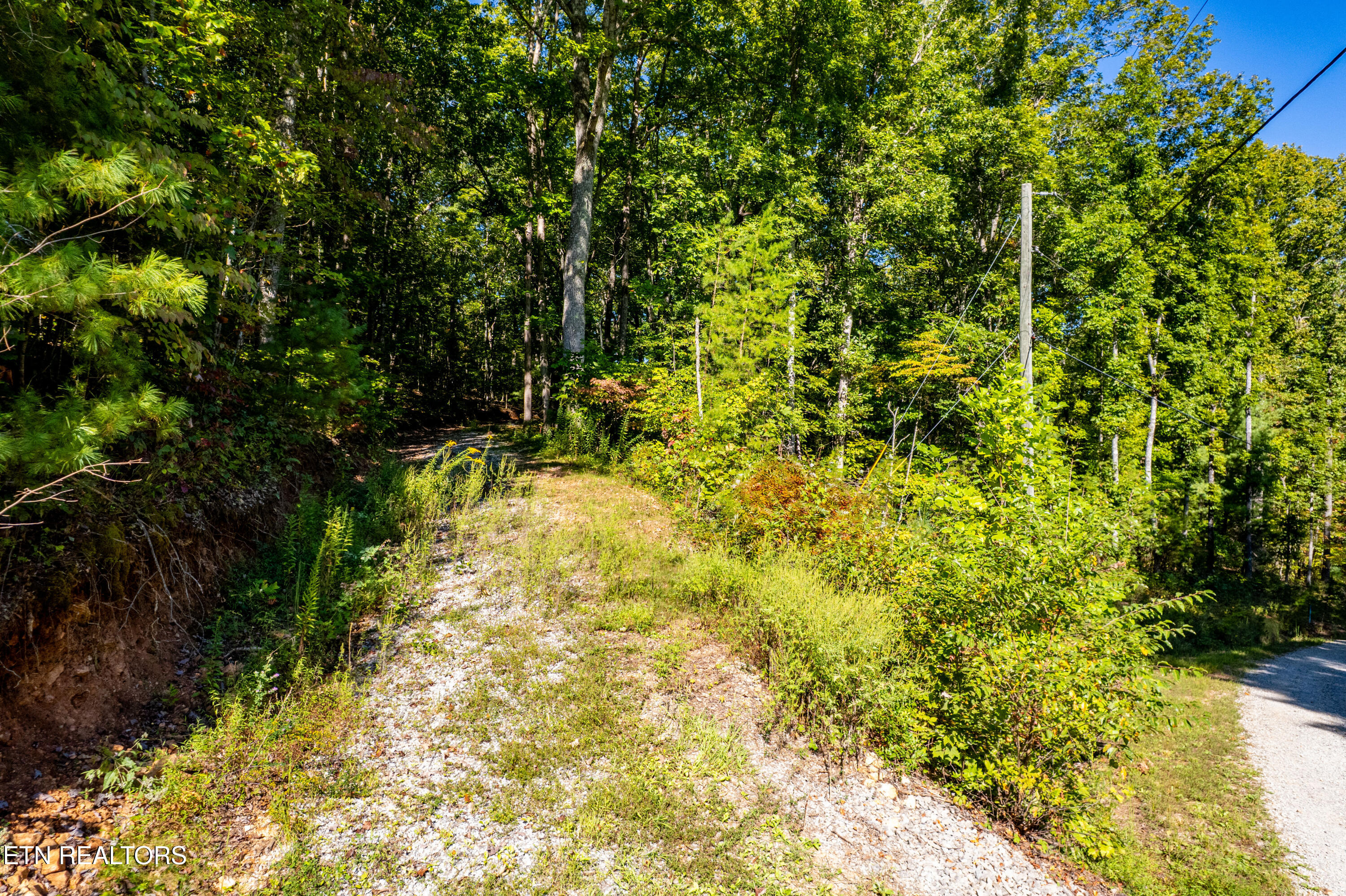 105 Warriors Passage Drive Tellico Plains TN 37385