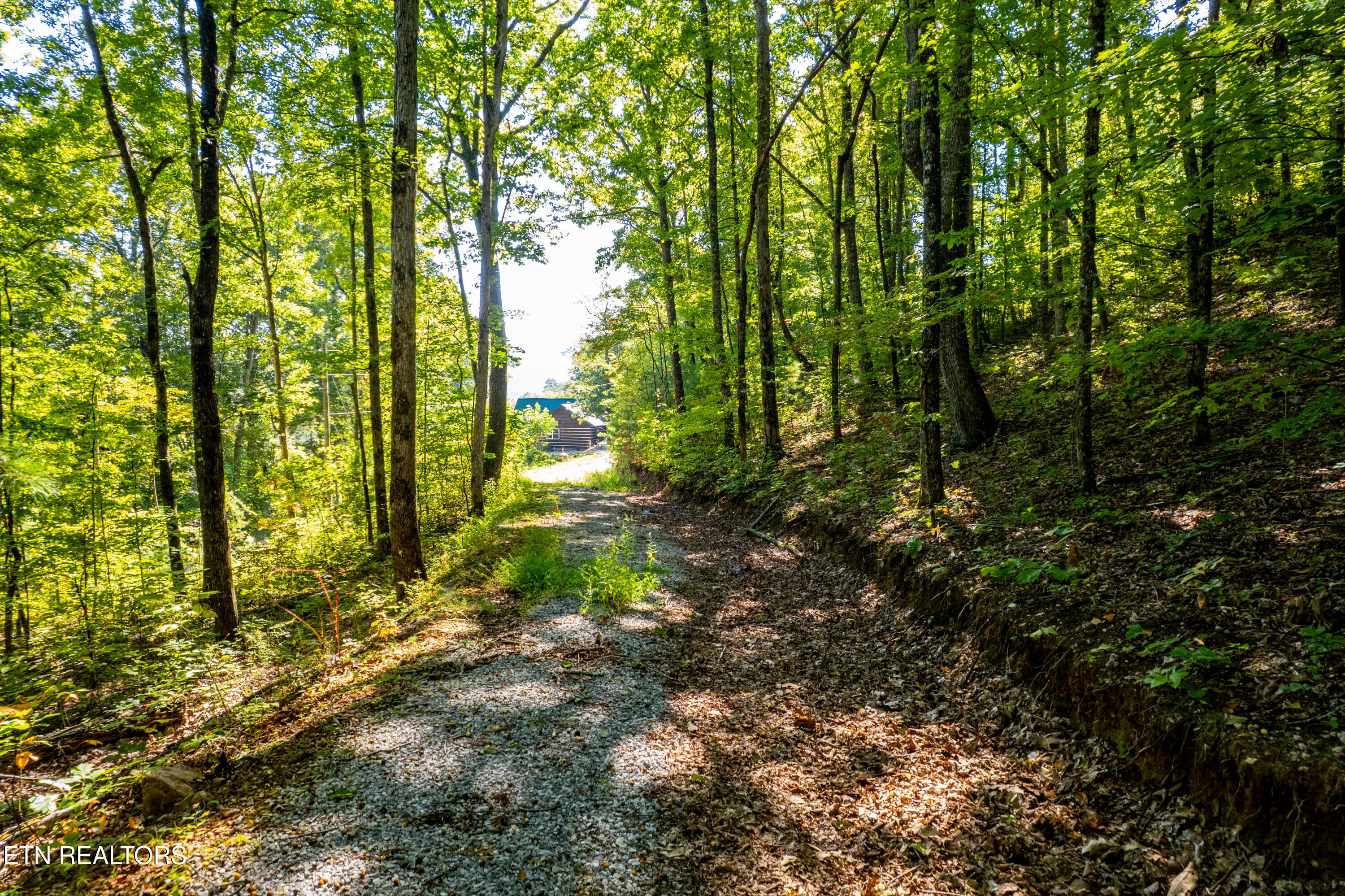105 Warriors Passage Drive Tellico Plains TN 37385