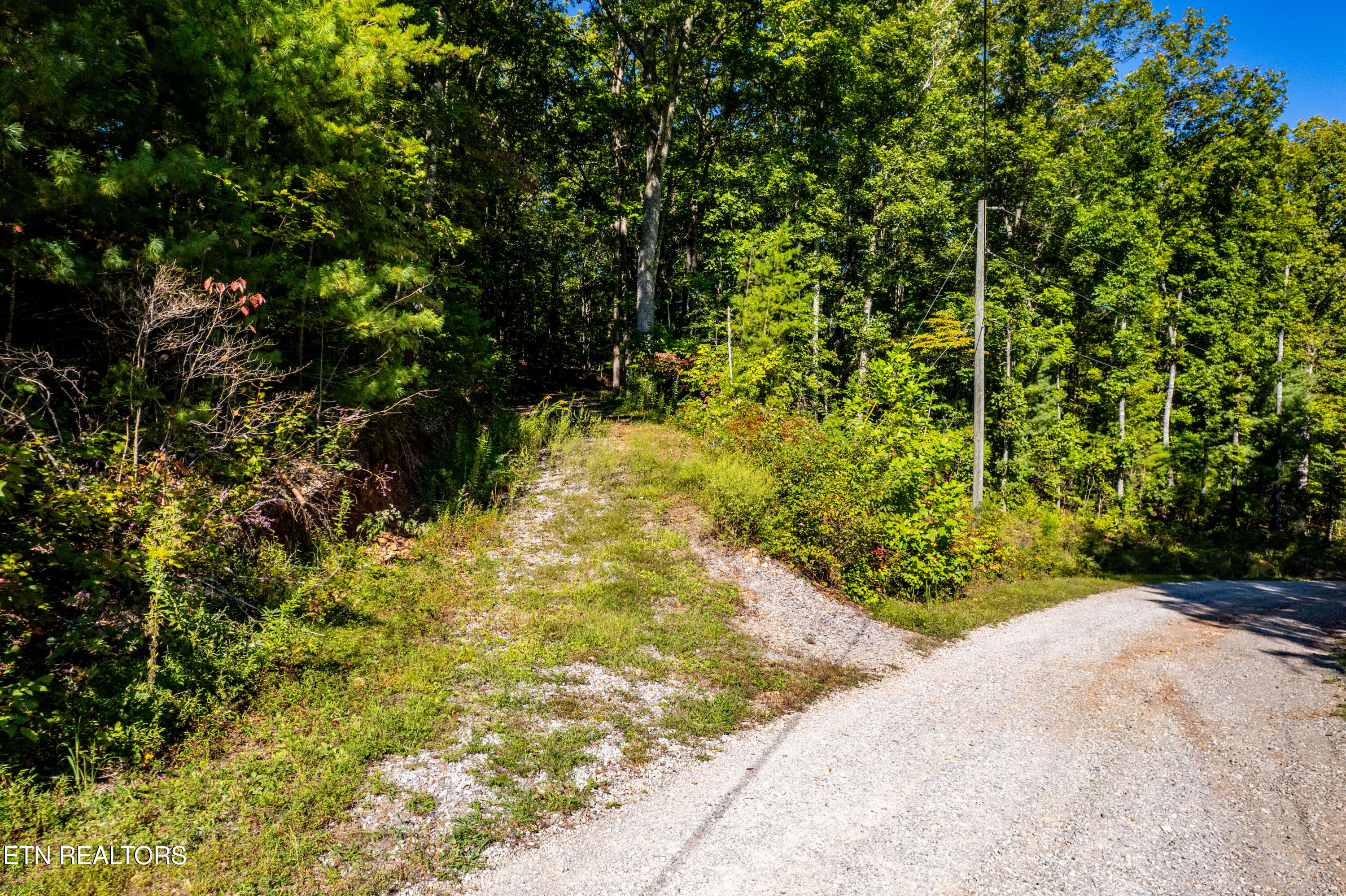 105 Warriors Passage Drive Tellico Plains TN 37385