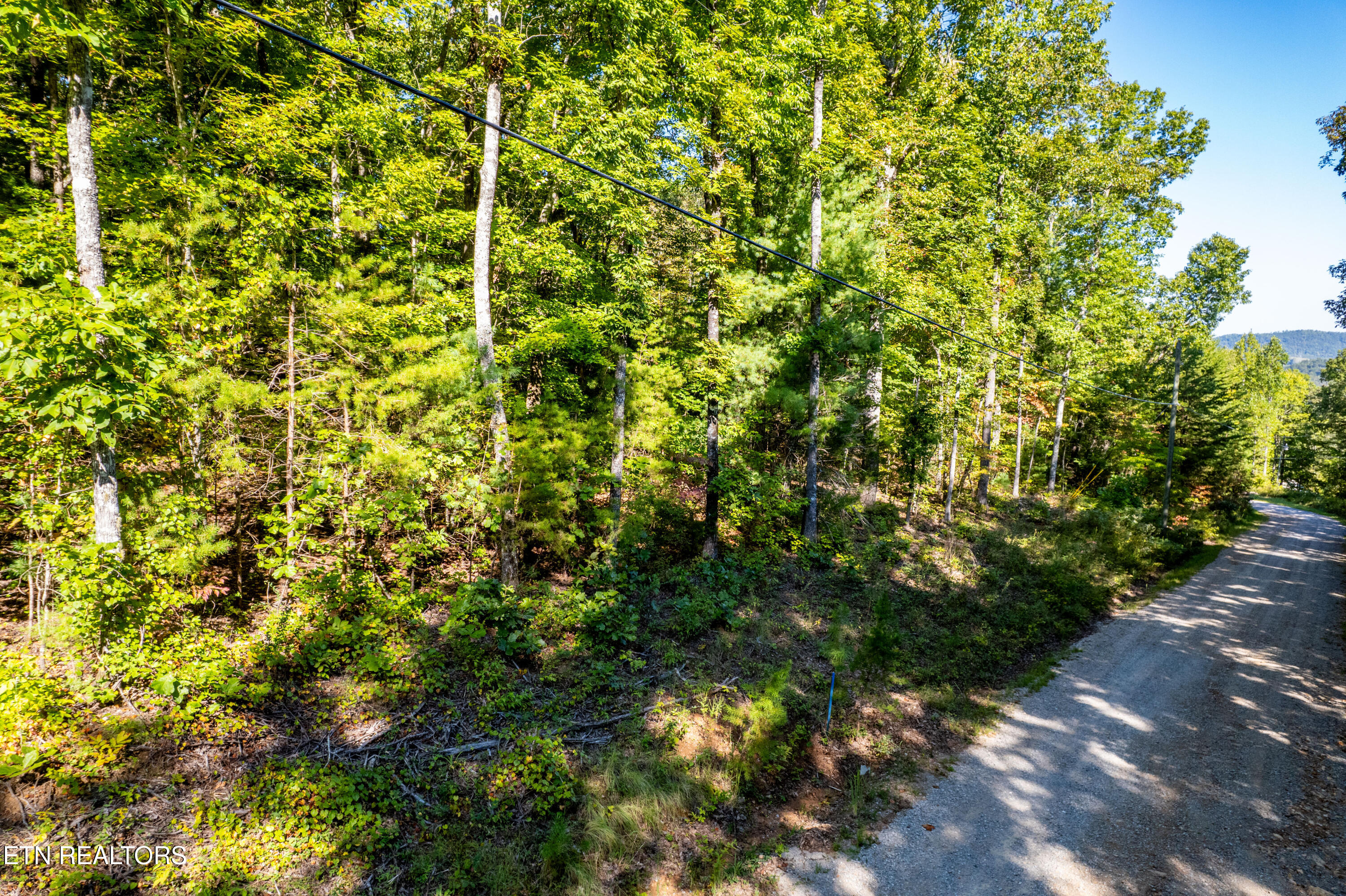 105 Warriors Passage Drive Tellico Plains TN 37385
