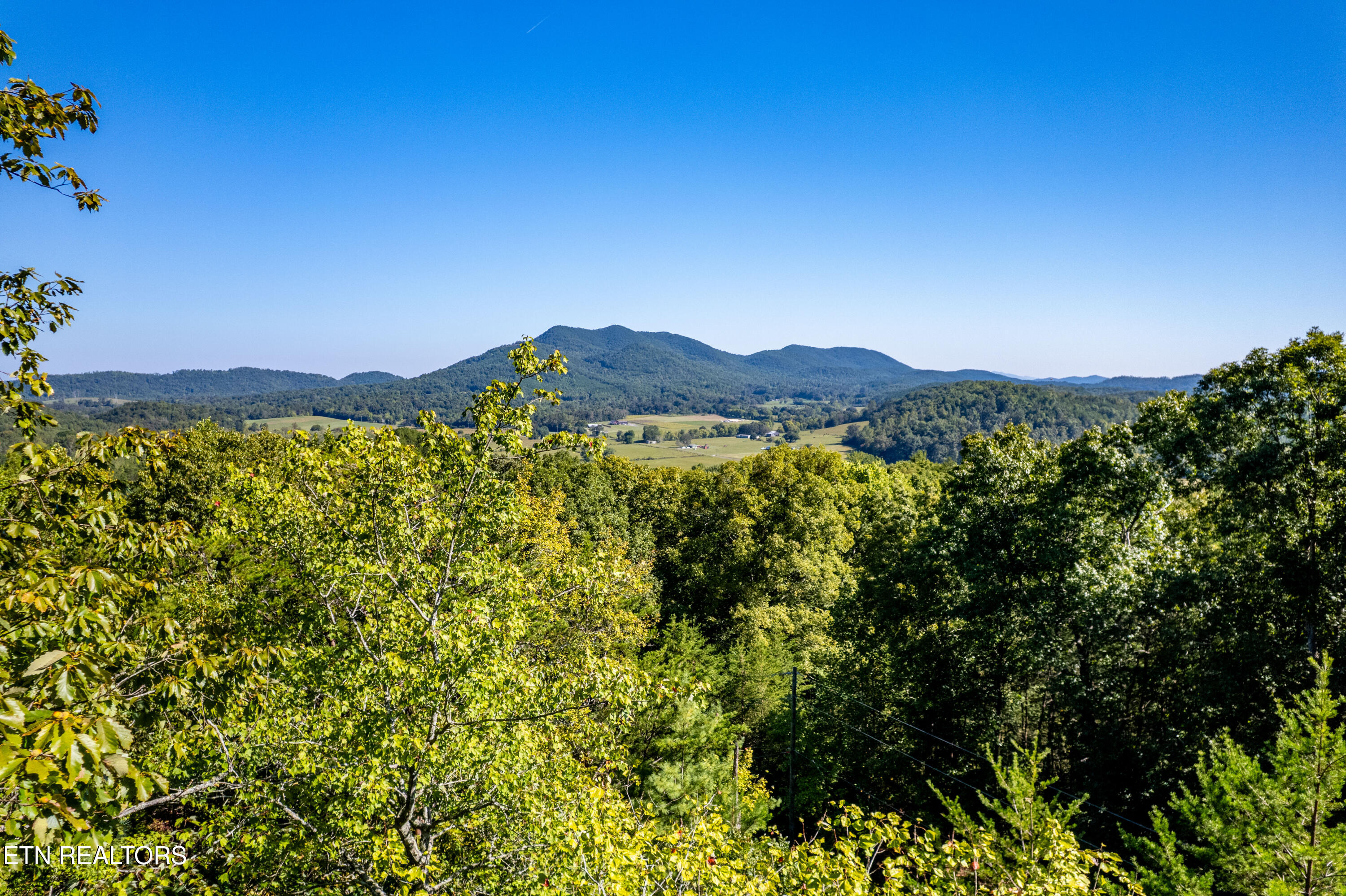 105 Warriors Passage Drive Tellico Plains TN 37385