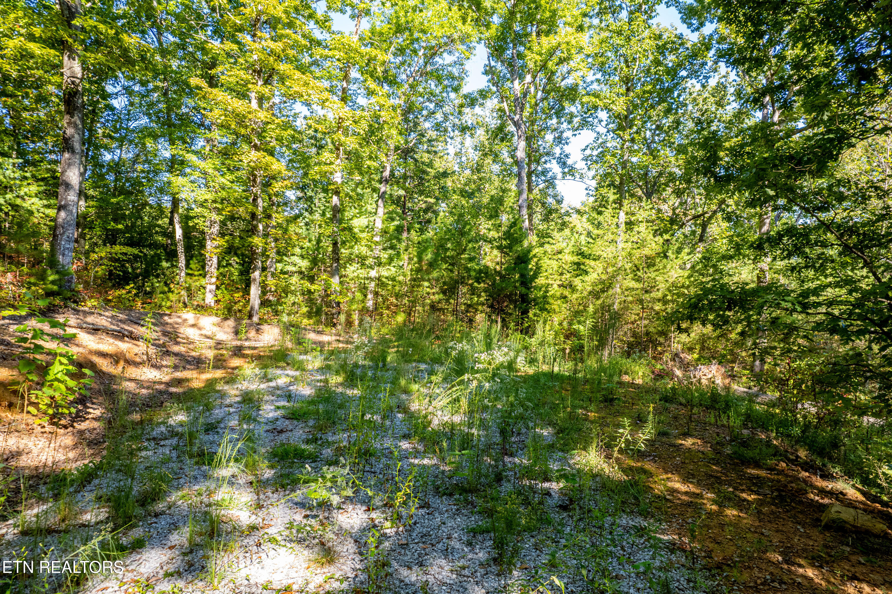 105 Warriors Passage Drive Tellico Plains TN 37385