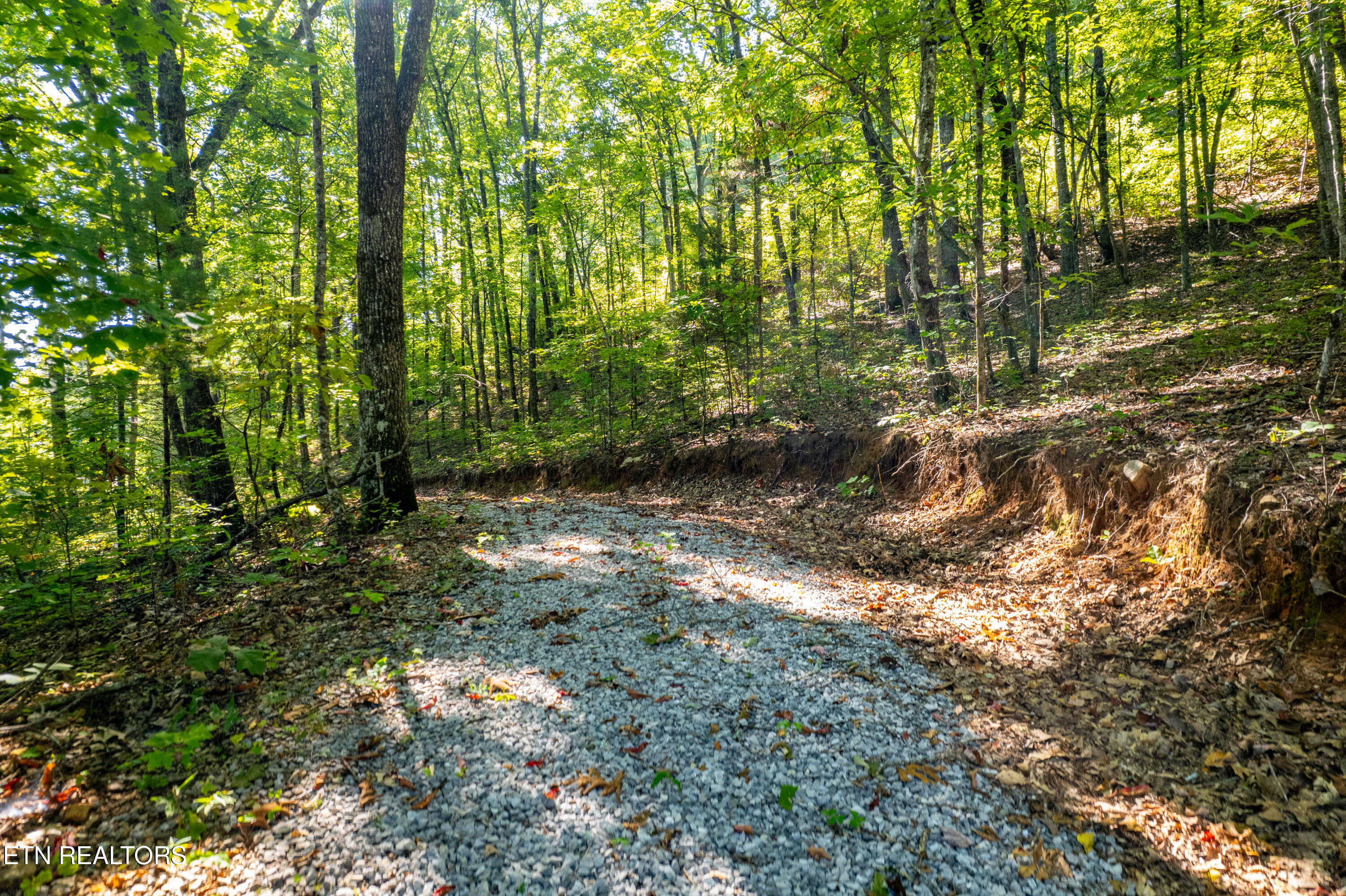 105 Warriors Passage Drive Tellico Plains TN 37385