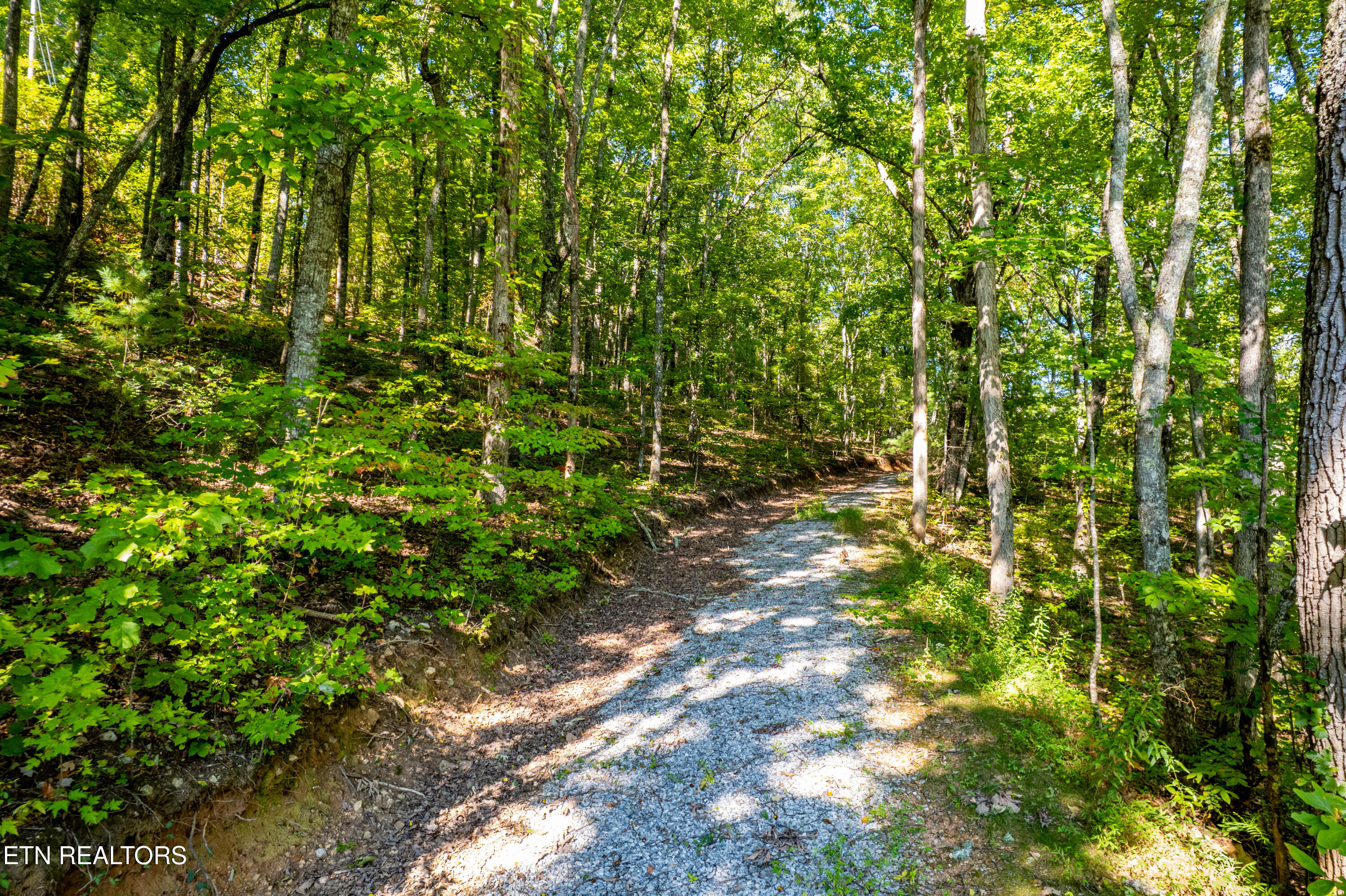 105 Warriors Passage Drive Tellico Plains TN 37385