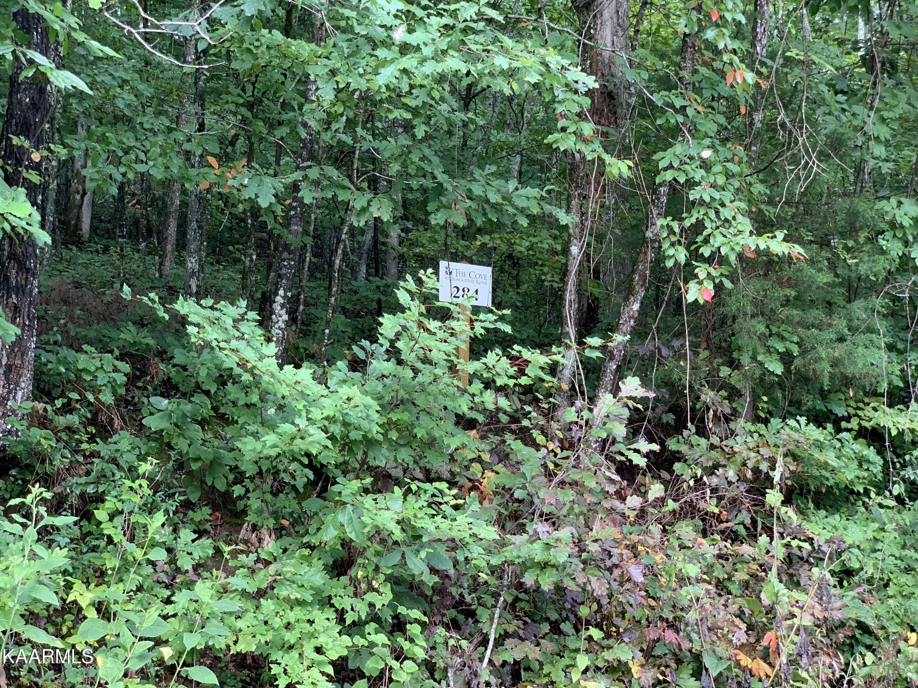 4507 Huffine Road Loudon TN 37774