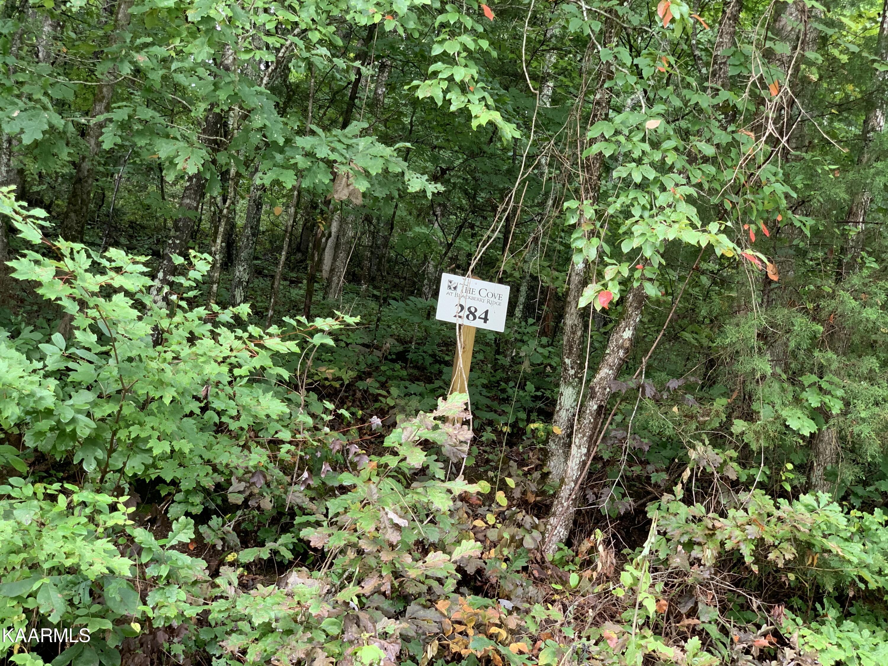 4507 Huffine Road Loudon TN 37774