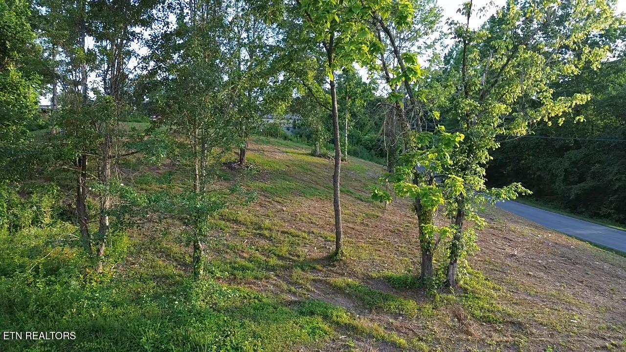 Grantsboro Road Lafollette TN 37766