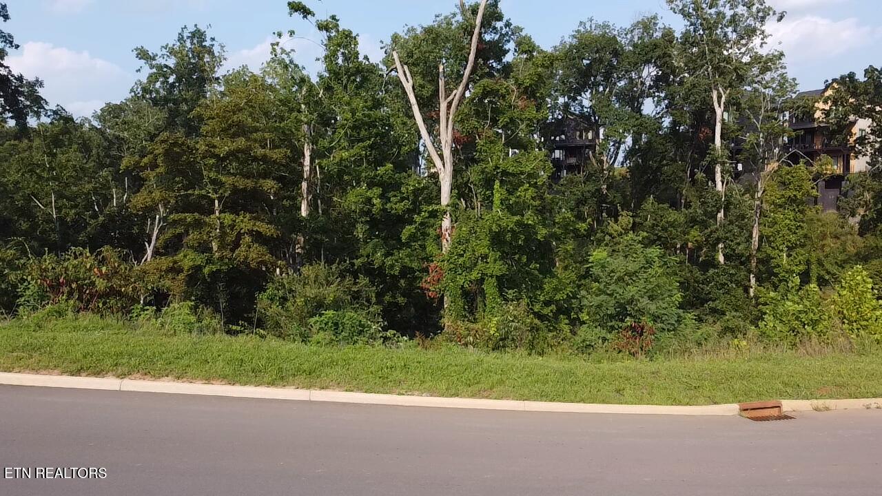 Lot 143 Reedmont Way Sevierville TN 37876