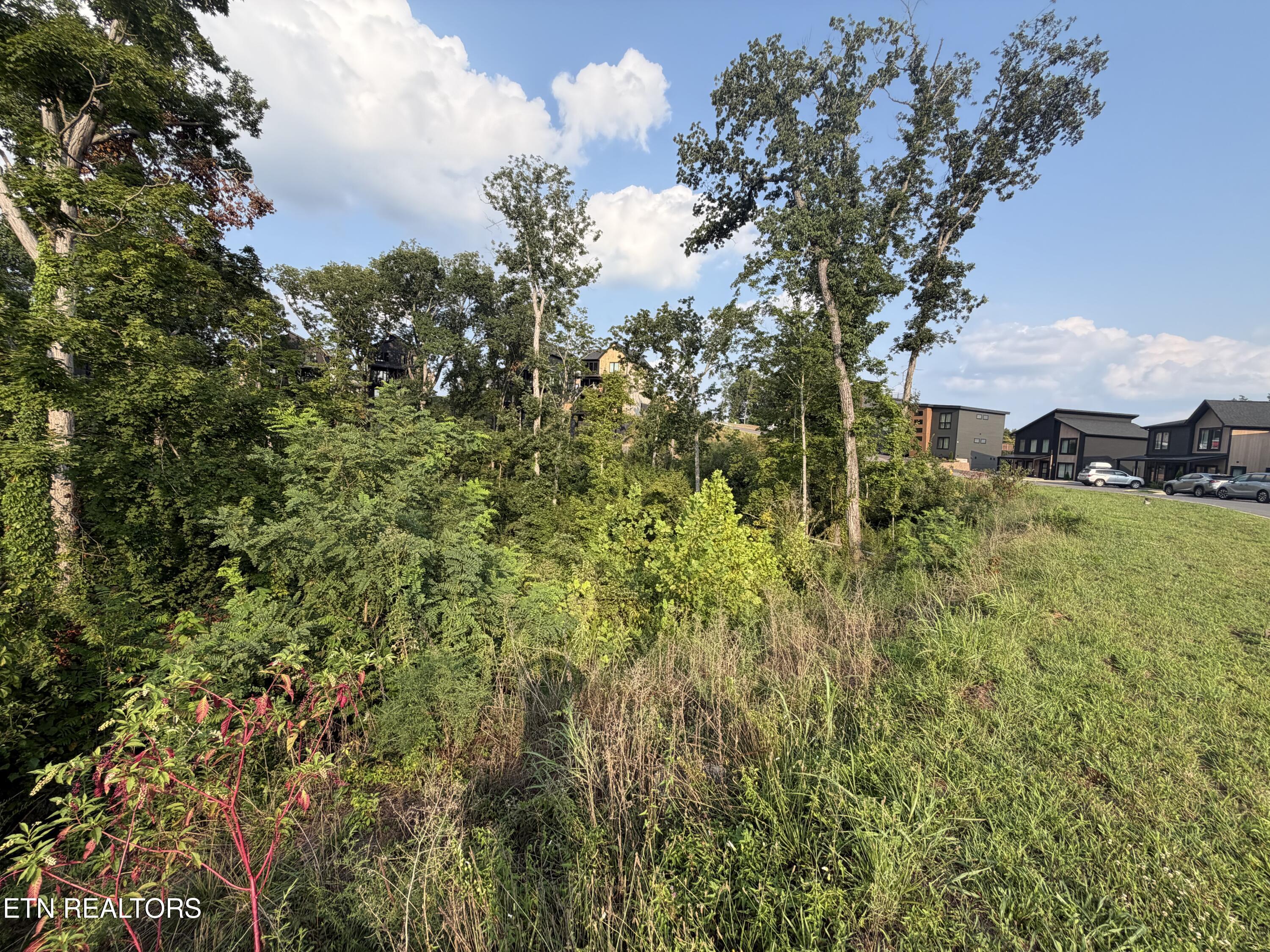 Lot 143 Reedmont Way Sevierville TN 37876