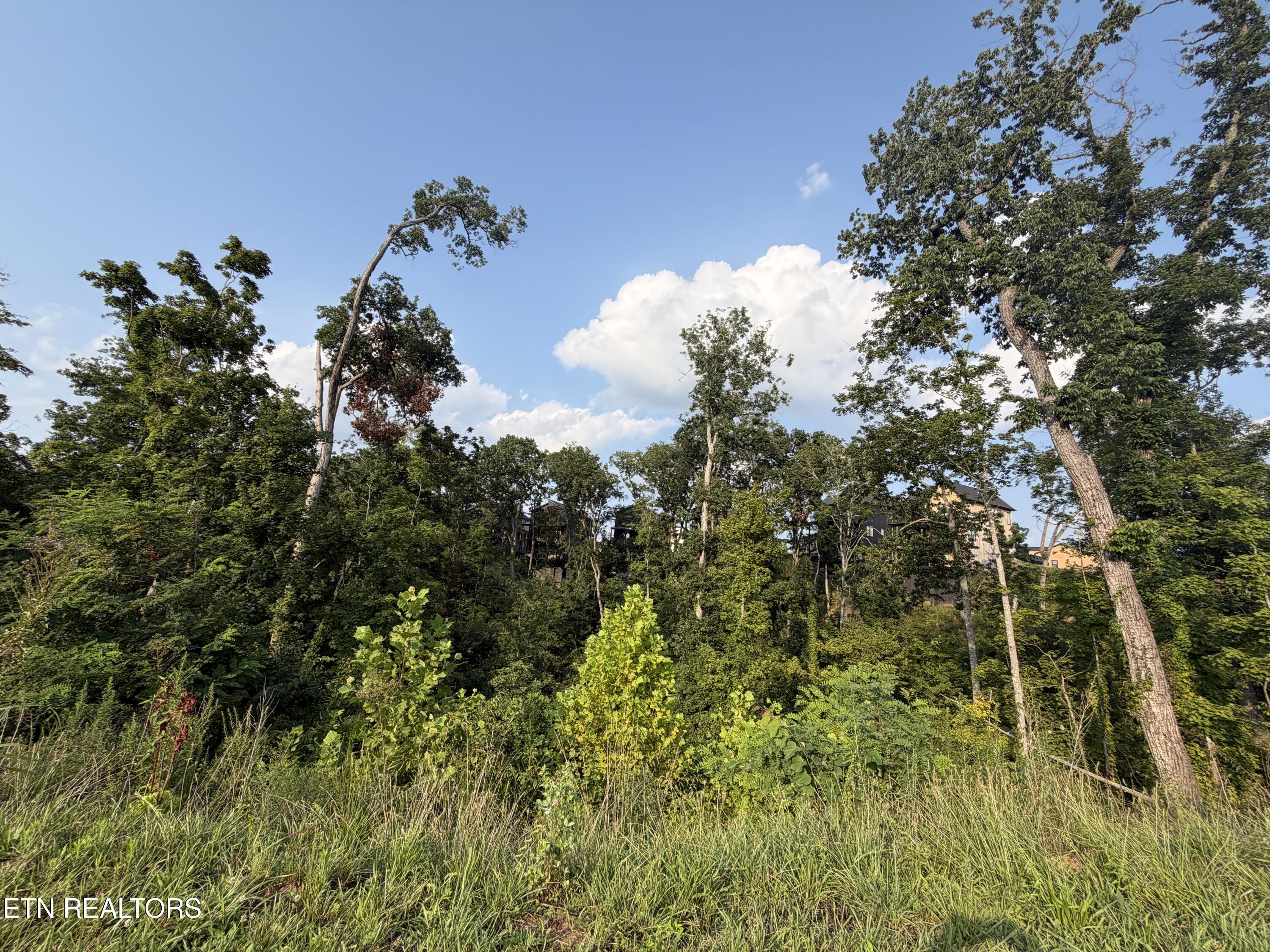 Lot 143 Reedmont Way Sevierville TN 37876