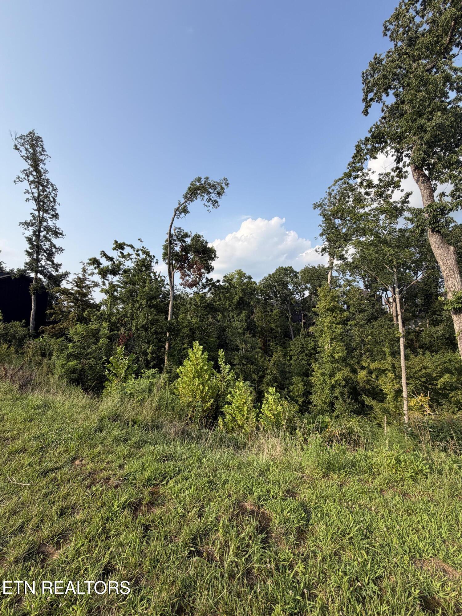 Lot 143 Reedmont Way Sevierville TN 37876