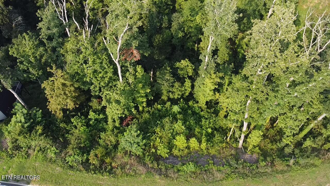 Lot 143 Reedmont Way Sevierville TN 37876