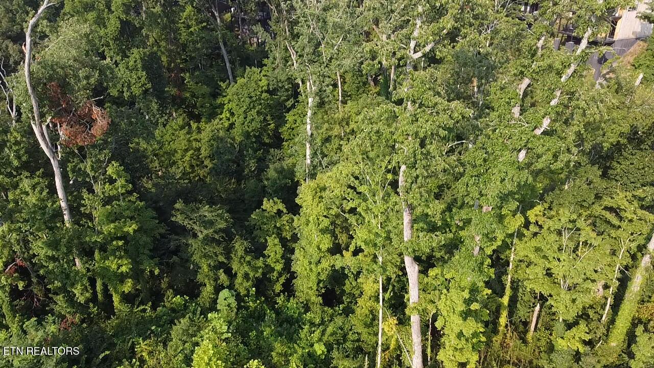 Lot 143 Reedmont Way Sevierville TN 37876