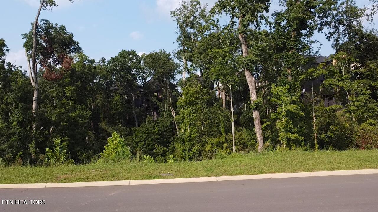 Lot 143 Reedmont Way Sevierville TN 37876